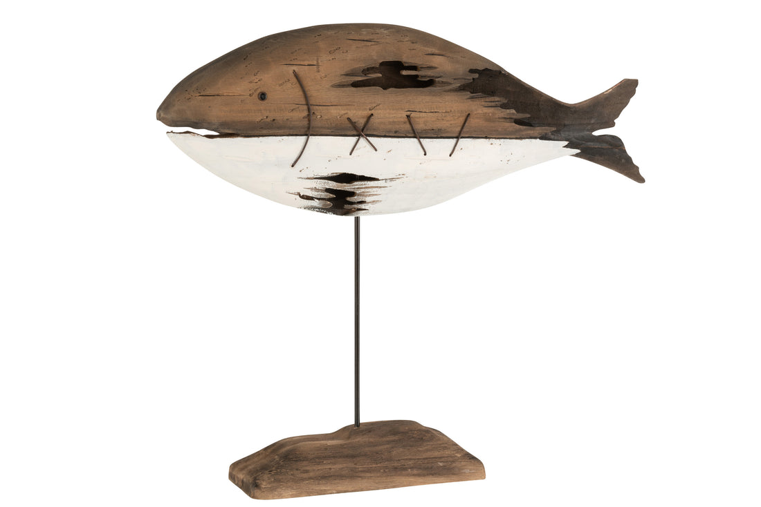 Vis Paulowniahout Donkerbruin/Wit