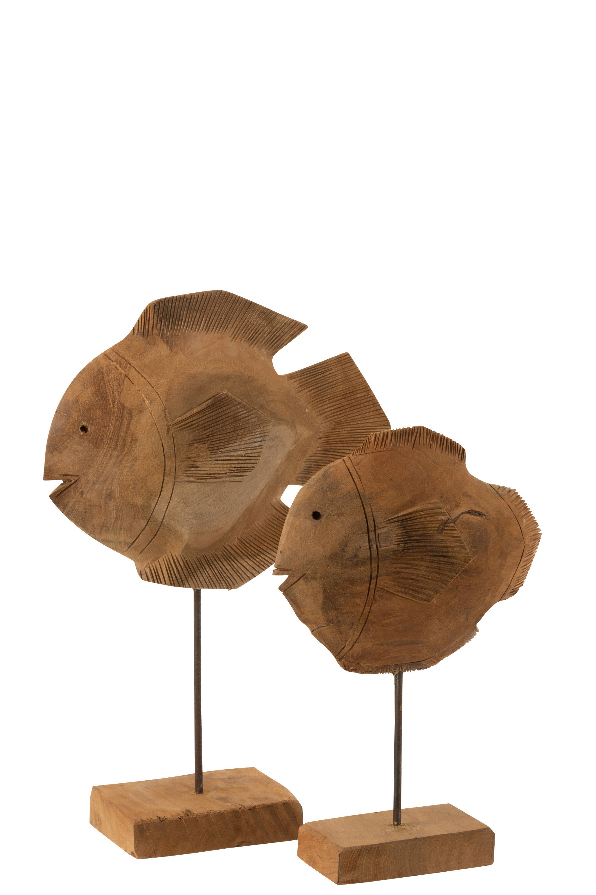 Vis Teakhout Natuurlijk Groot