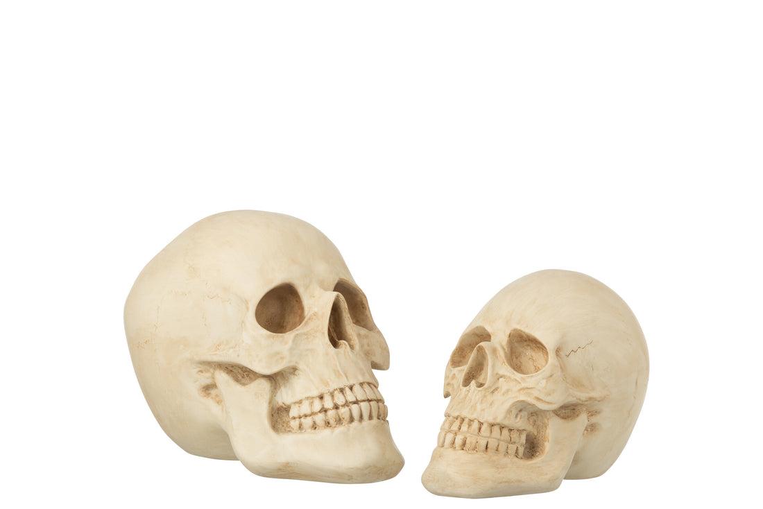 Schedel Poly Beige Groot