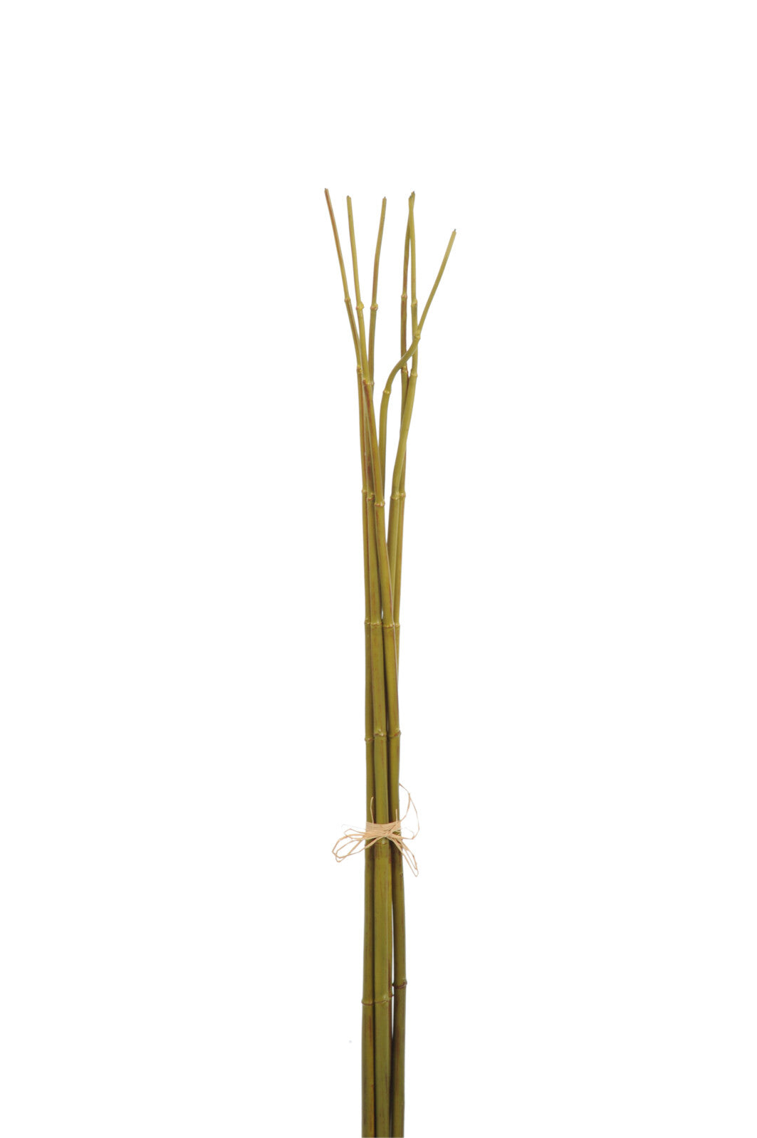 J-Line Bamboobundel Groen S