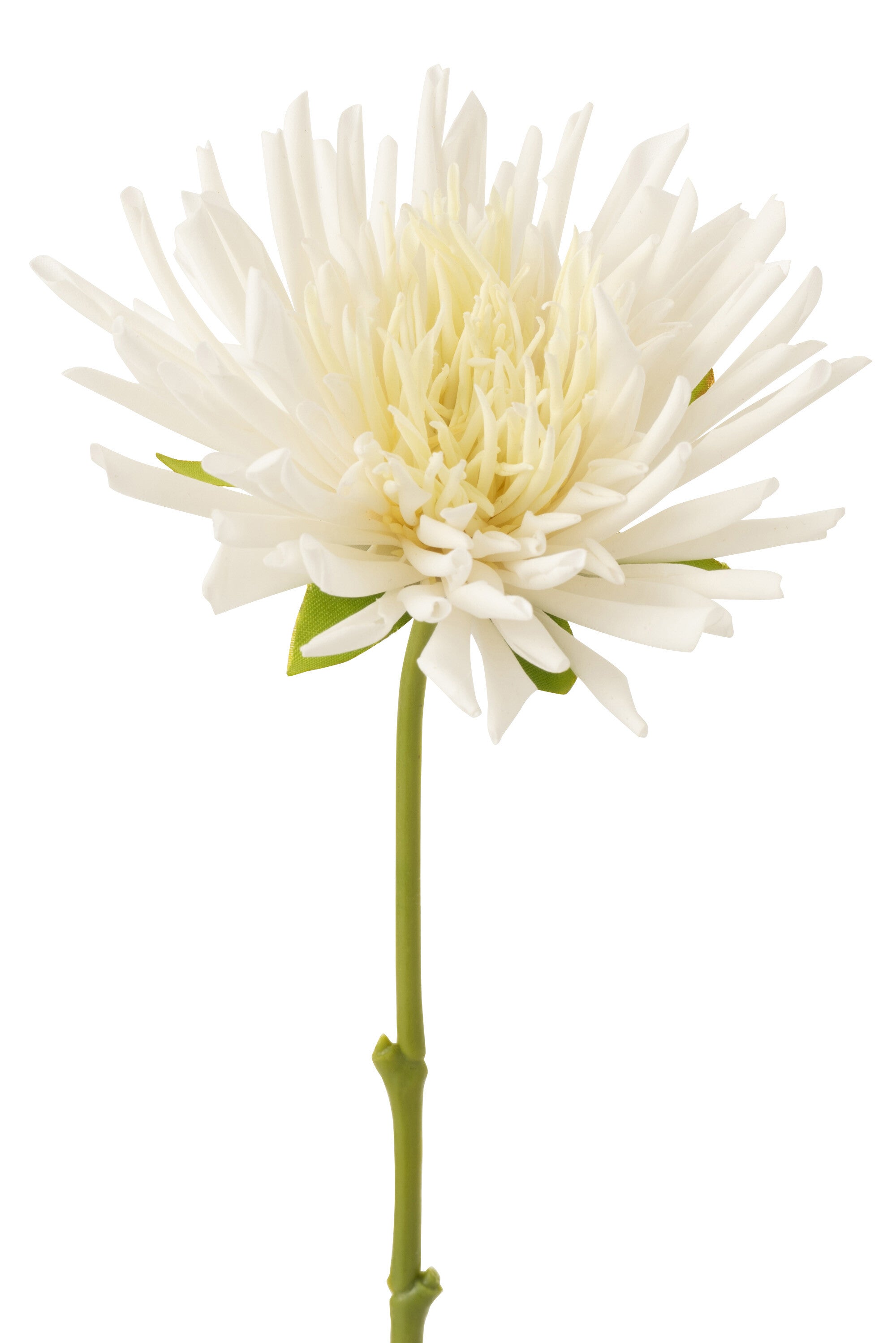 J-Line Chrysant Mini Plastiek Wit Small