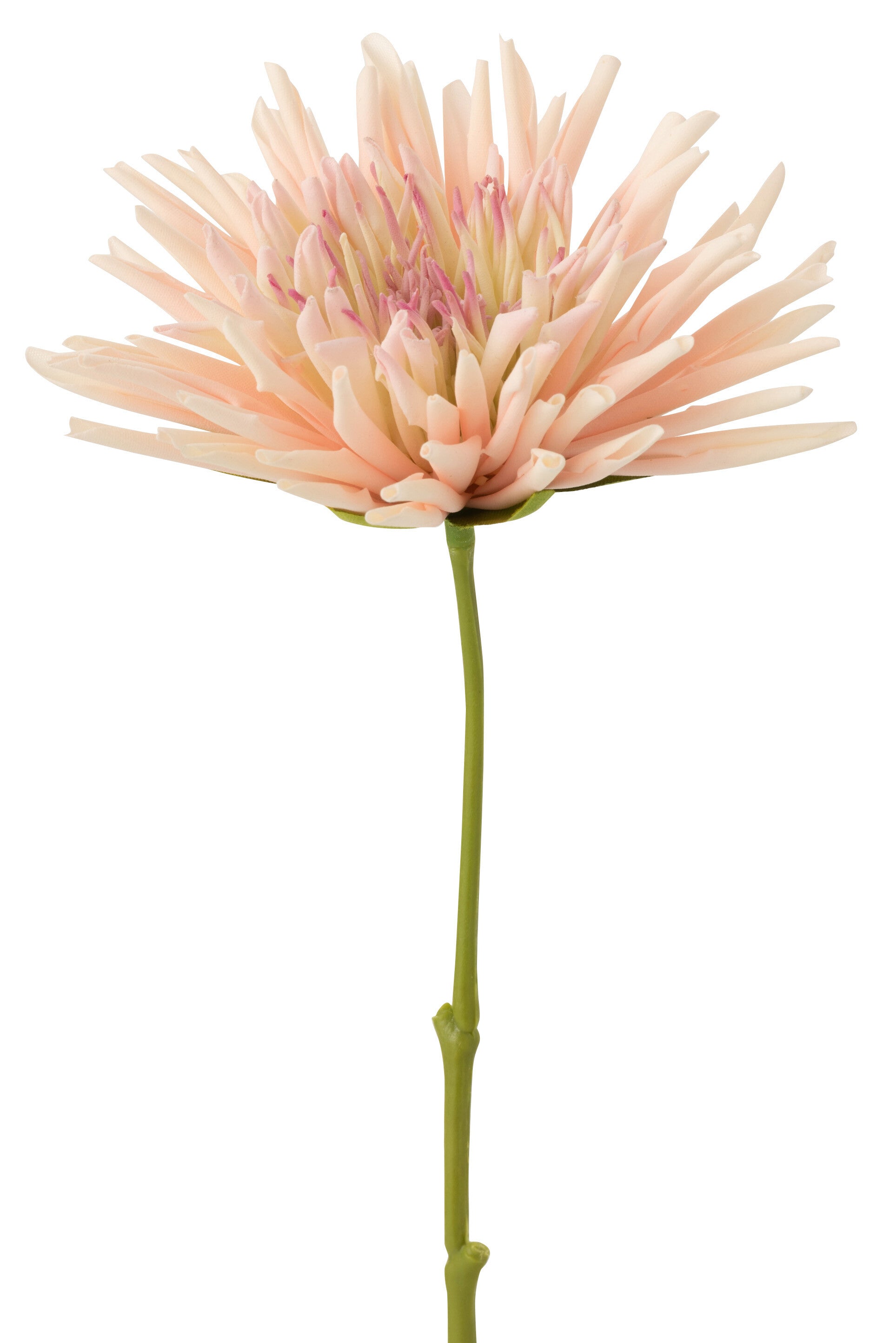 J-Line Chrysant Mini Plastiek Wit Licht Roze