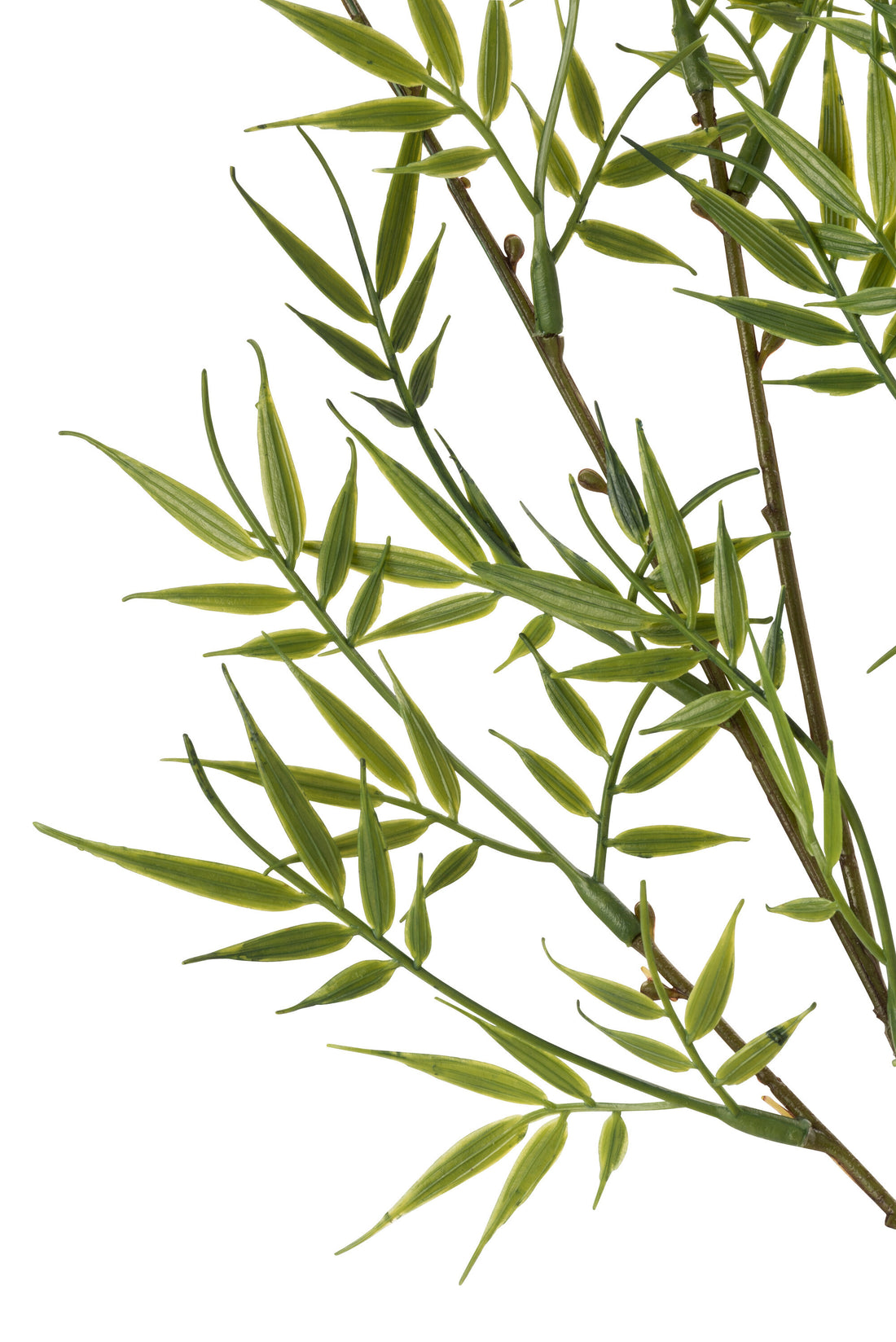 J-Line Bamboetak Fijn 3Delig Plastiek Groen