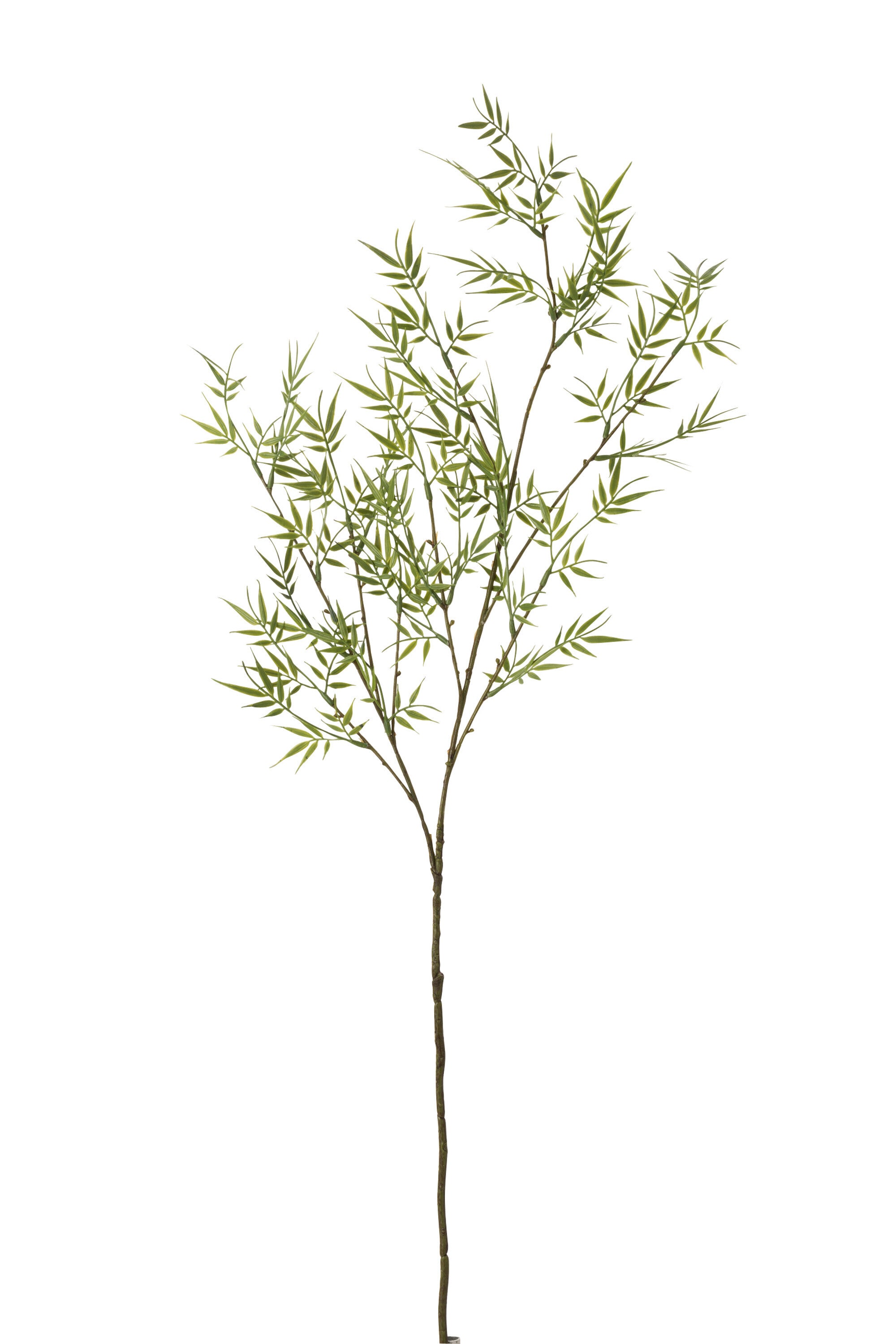 J-Line Bamboetak Fijn 3Delig Plastiek Groen