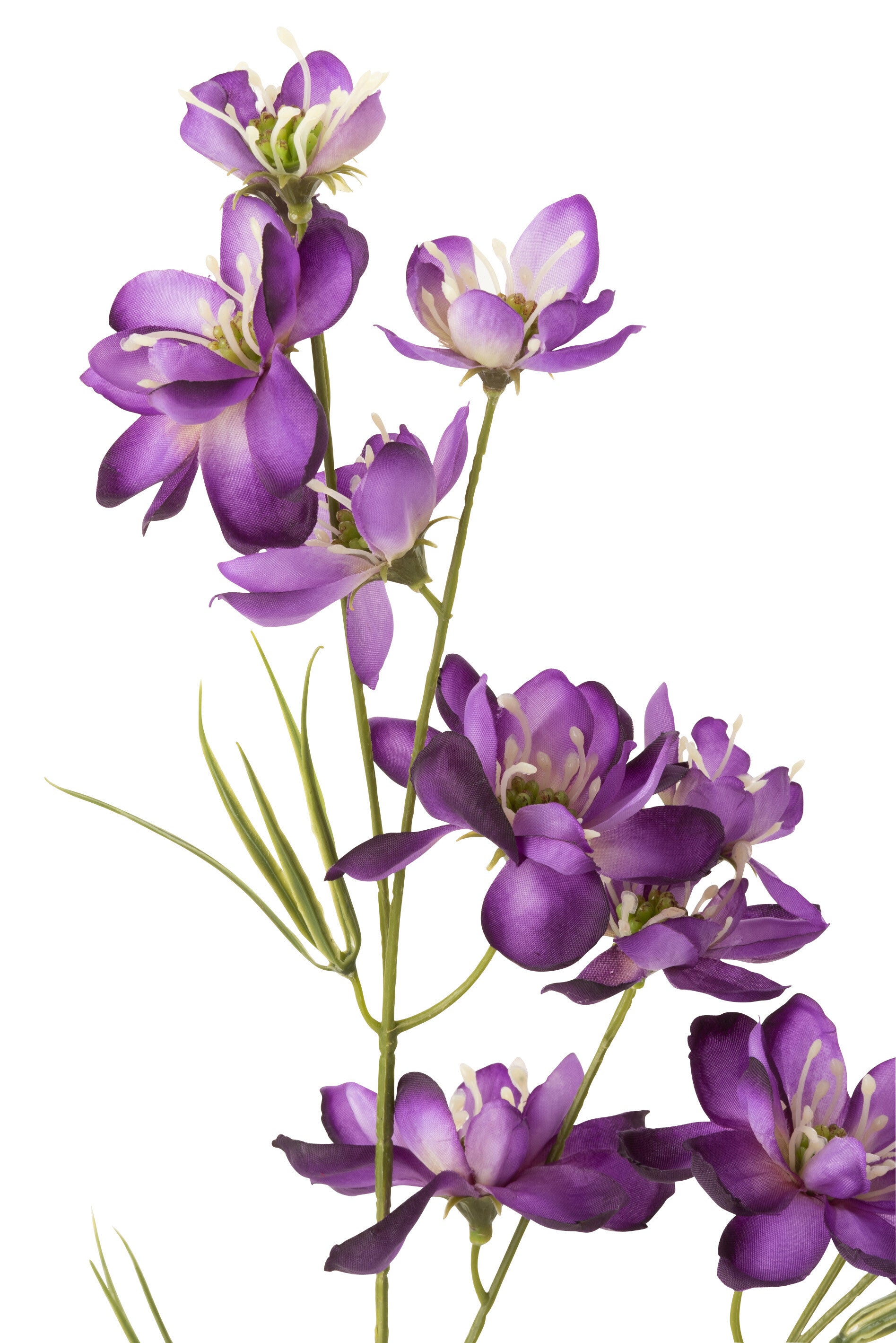 J-Line Bloem Delphinium 2Delig Plastiek Donker Paars