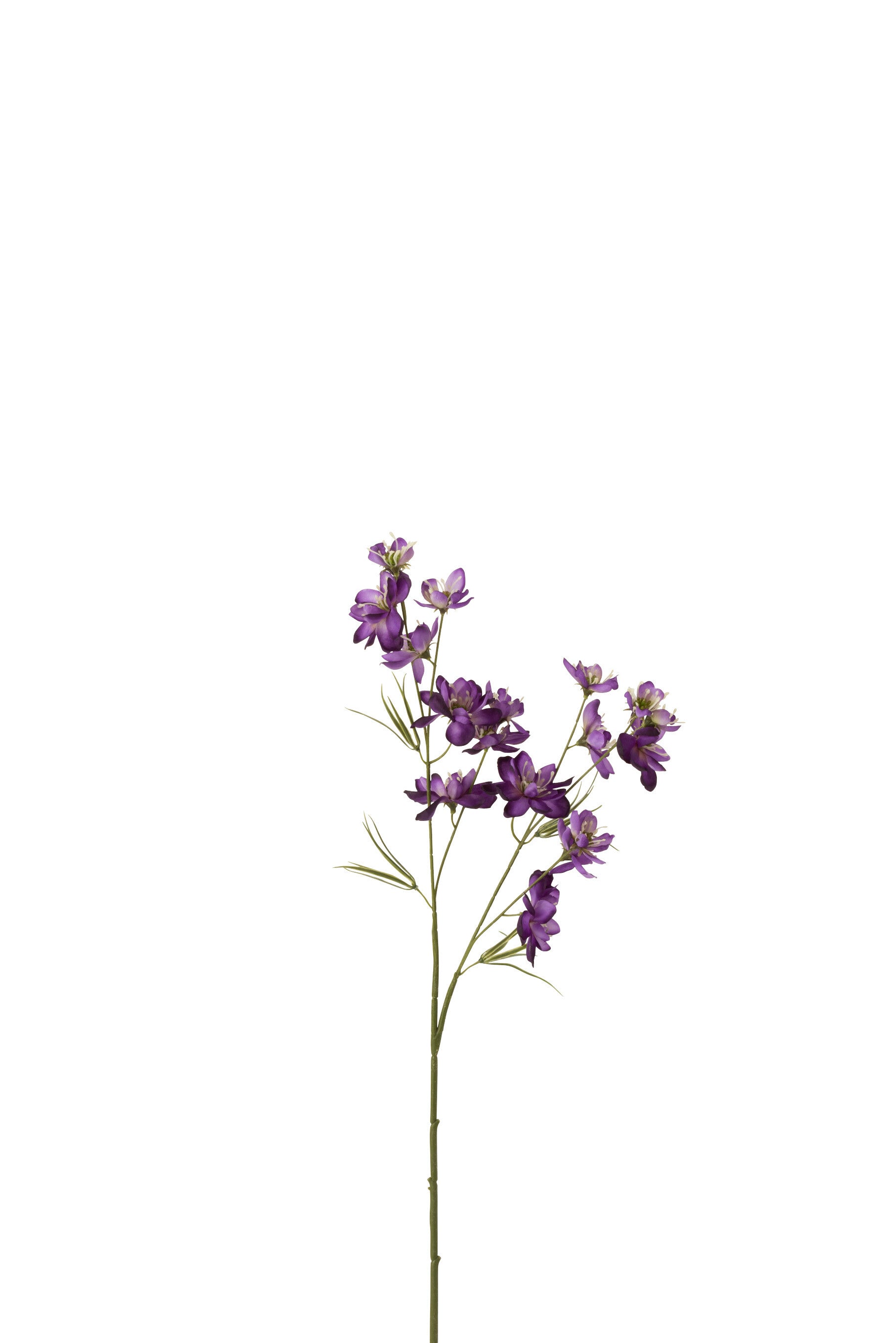 J-Line Bloem Delphinium 2Delig Plastiek Donker Paars