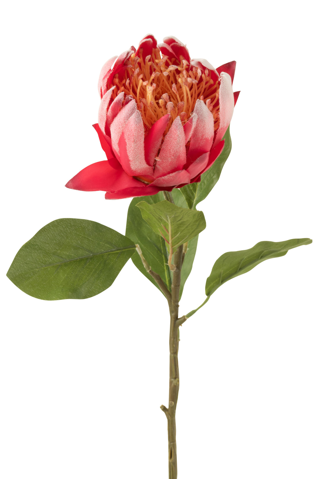 J-Line Protea Tak Plastiek Rood