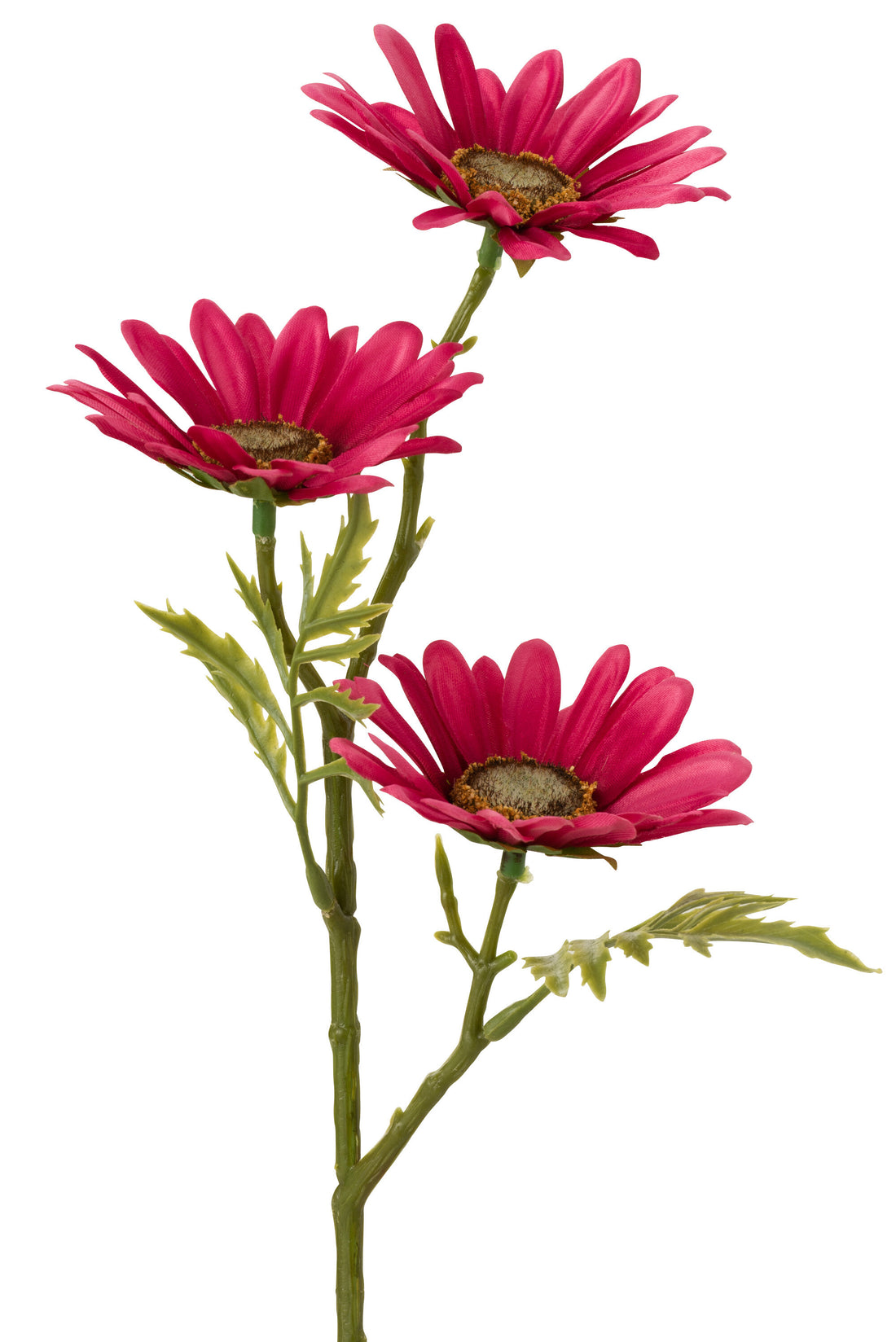 J-Line Bloem Madelief Plastiek Fuchsia