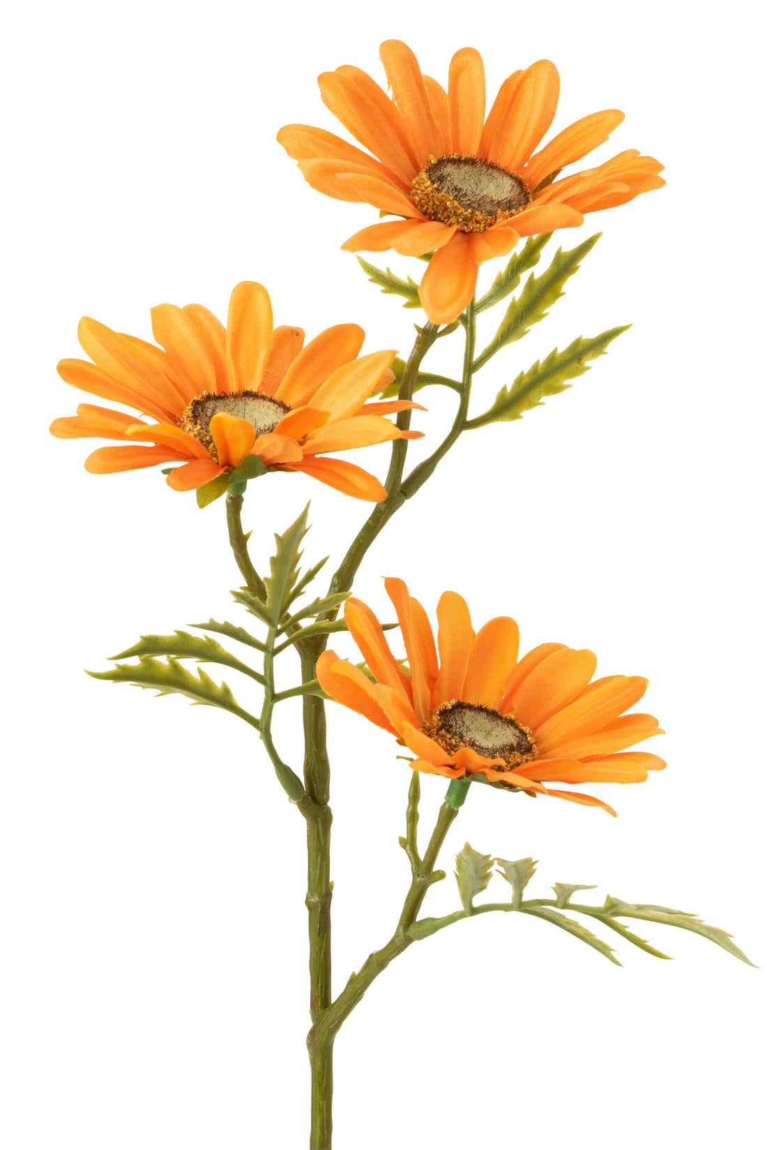 J-Line Bloem Madelief Plastiek Oranje