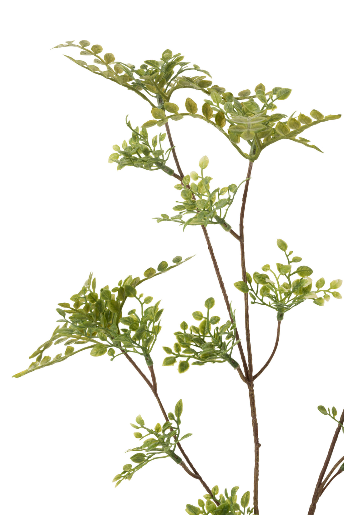 J-Line Tak Fijne Blaadjes Plastiek Groen