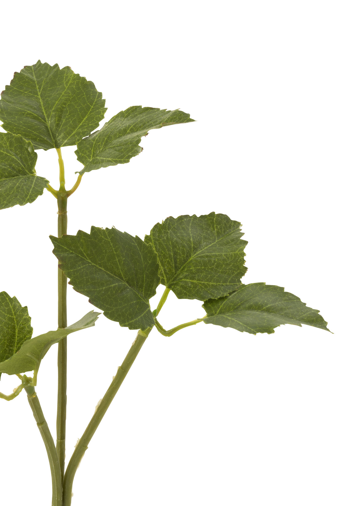 J-Line Tak Hoppe Plastiek Groen