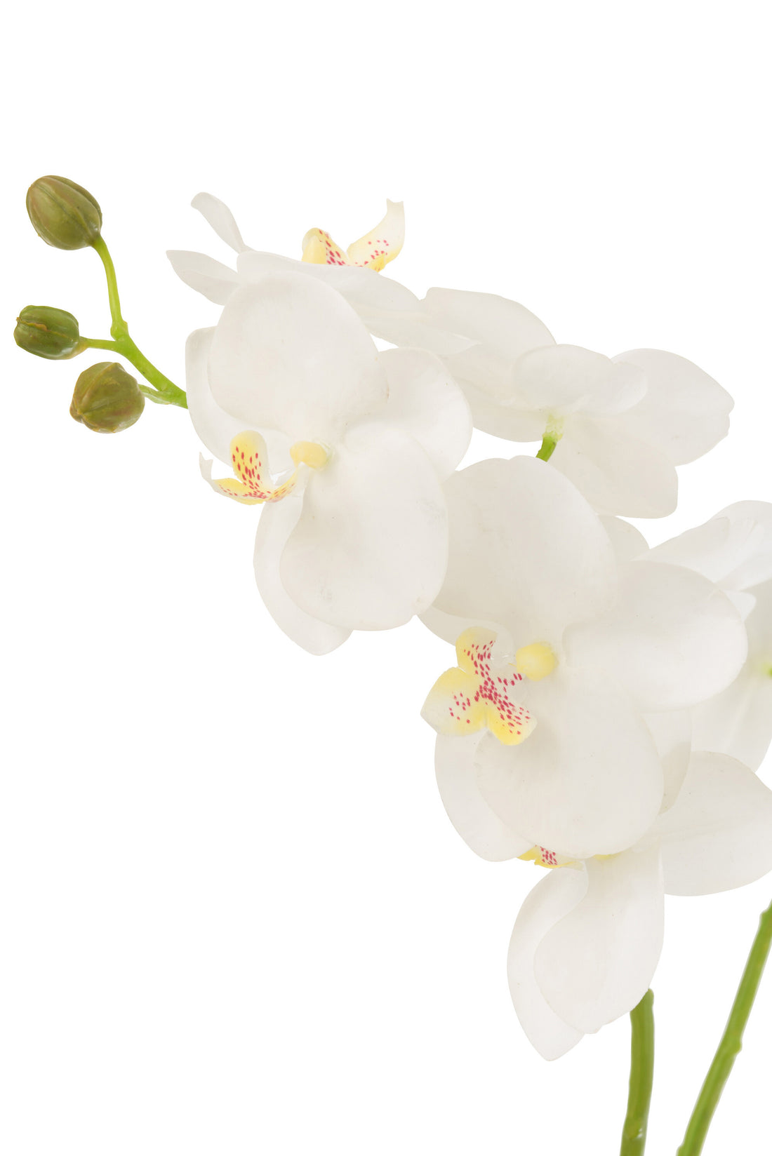 J-Line Orchidee In Aarde Plastiek Wit/Groen Medium