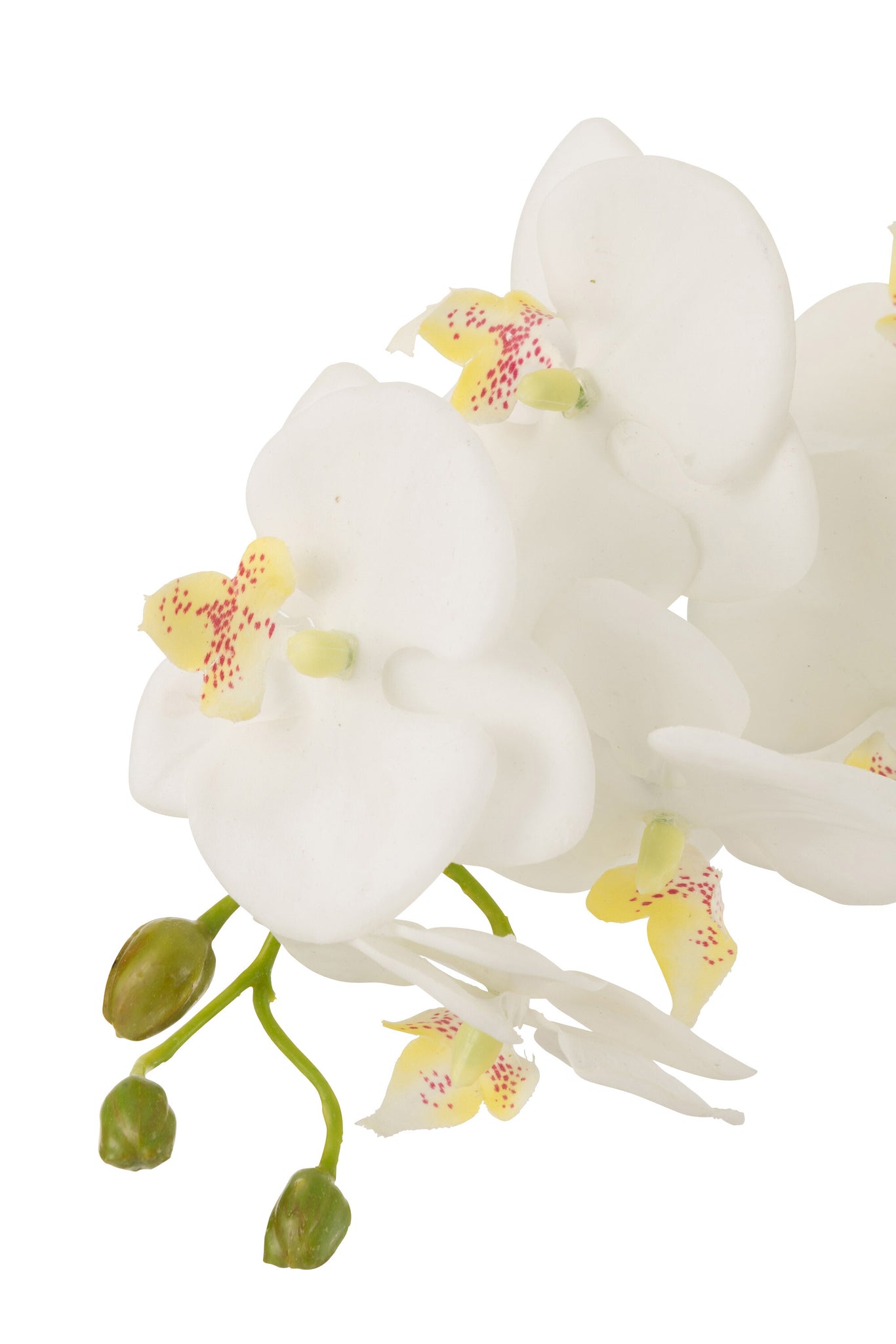 J-Line Orchidee In Aarde Plastiek Wit/Groen Large