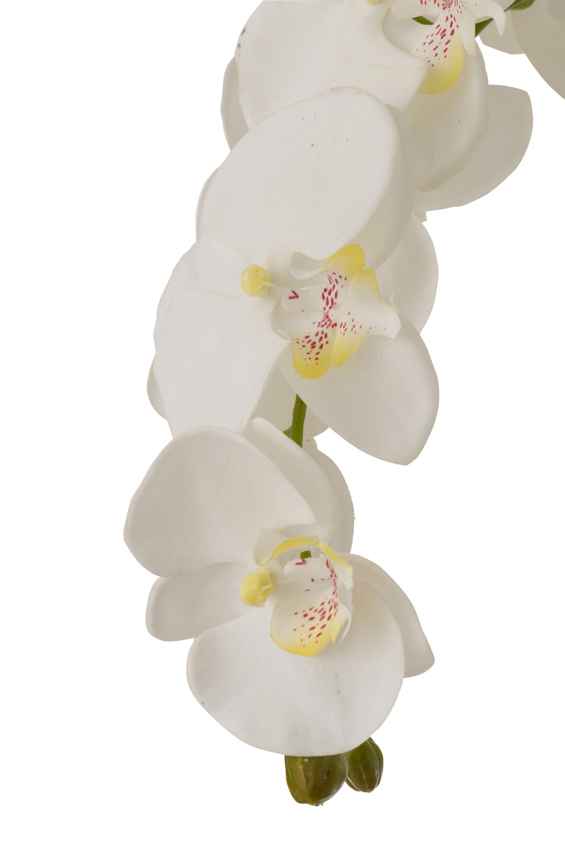 J-Line Orchidee In Aarde Plastiek Wit/Groen Extra Large