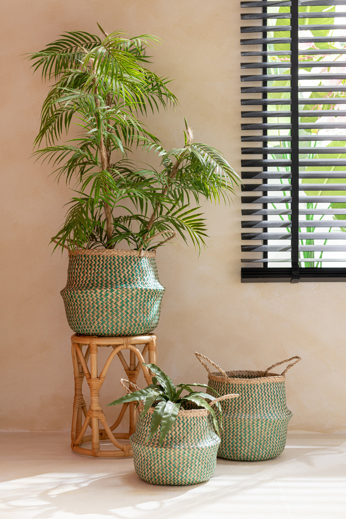 Chamaedorea in pot plastic groen/zwart groot