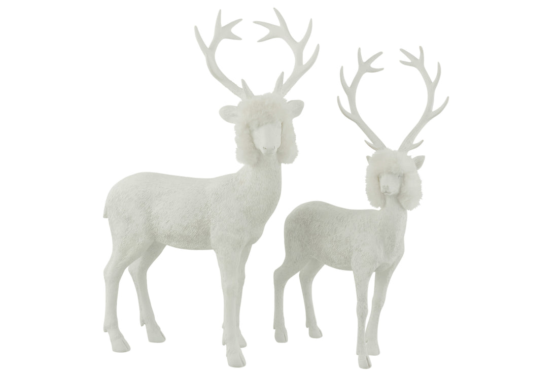 Rendier Poly Wit Groot