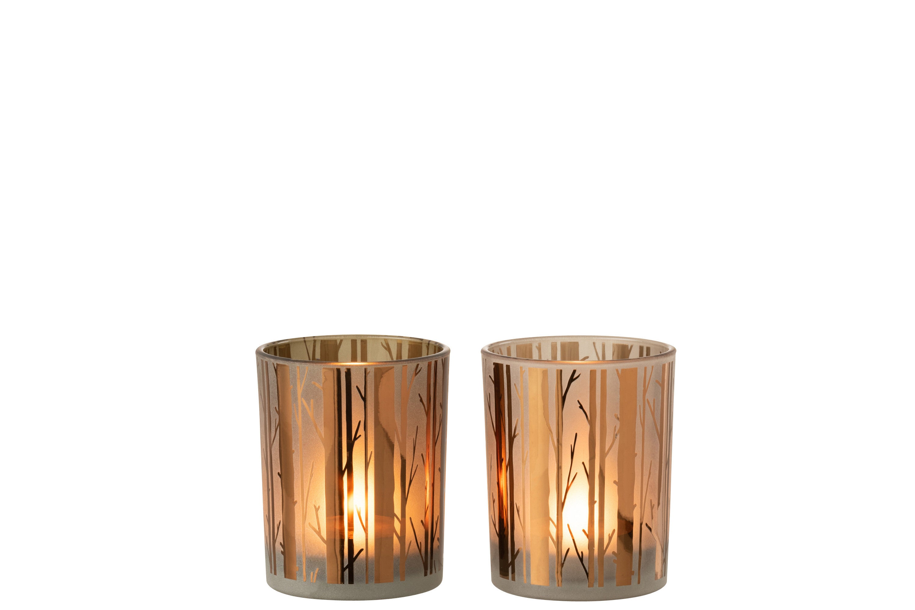 Orkaanboomglas Bruin Medium Assortiment Van 2