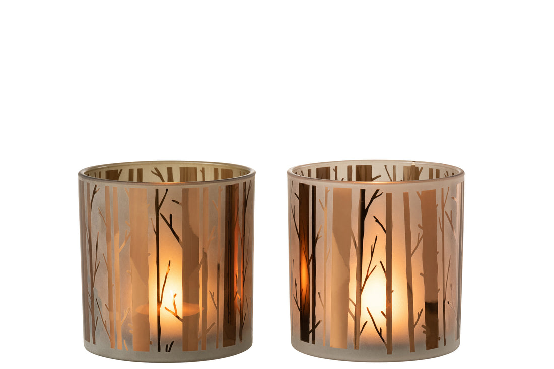 Orkaanboomglas Bruin Groot Assortiment Van 2