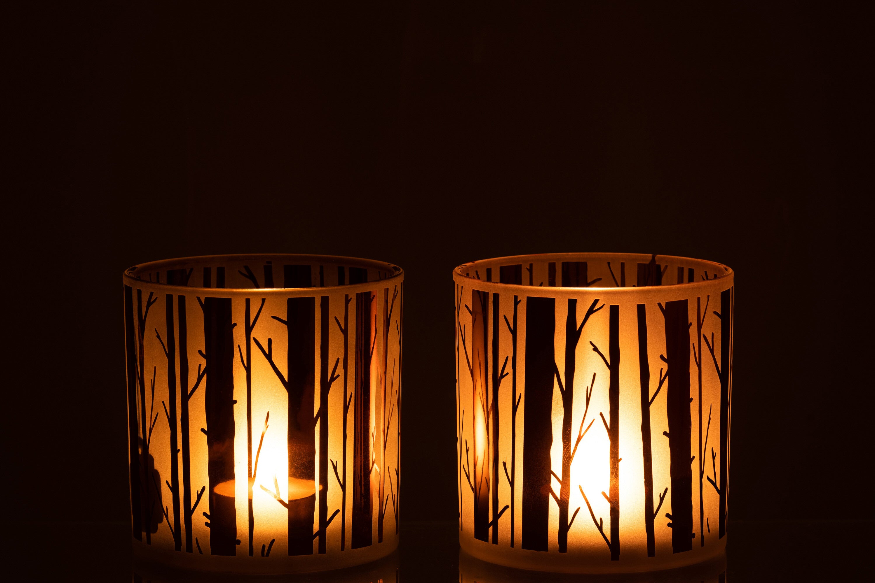 Orkaanboomglas Bruin Groot Assortiment Van 2