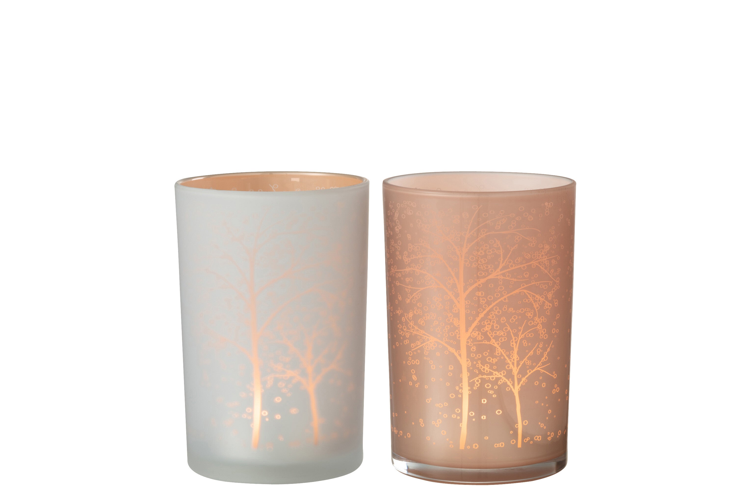 Orkaanboomglas Wit/Zalm Groot Assortiment Van 2