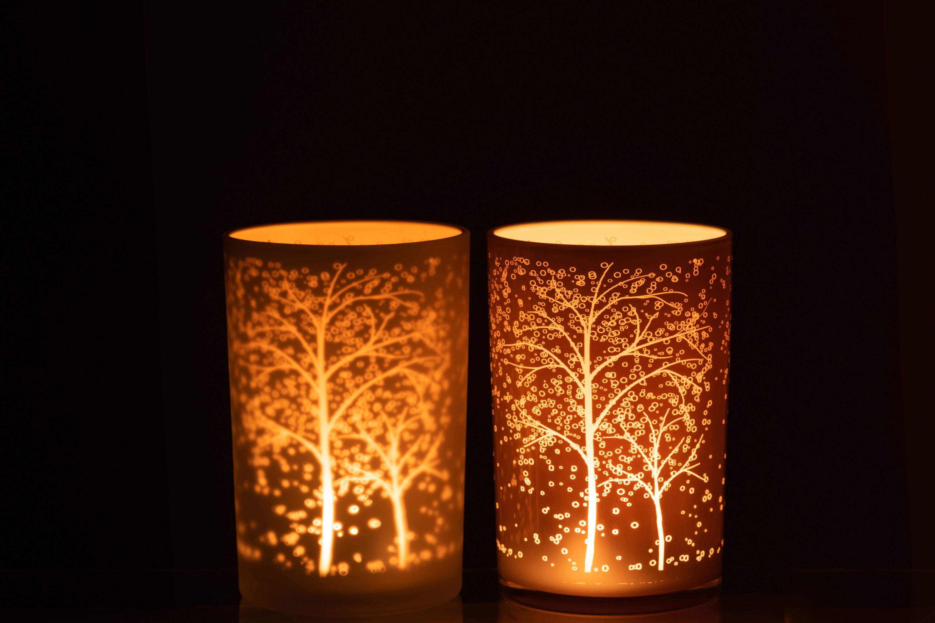 Orkaanboomglas Wit/Zalm Groot Assortiment Van 2