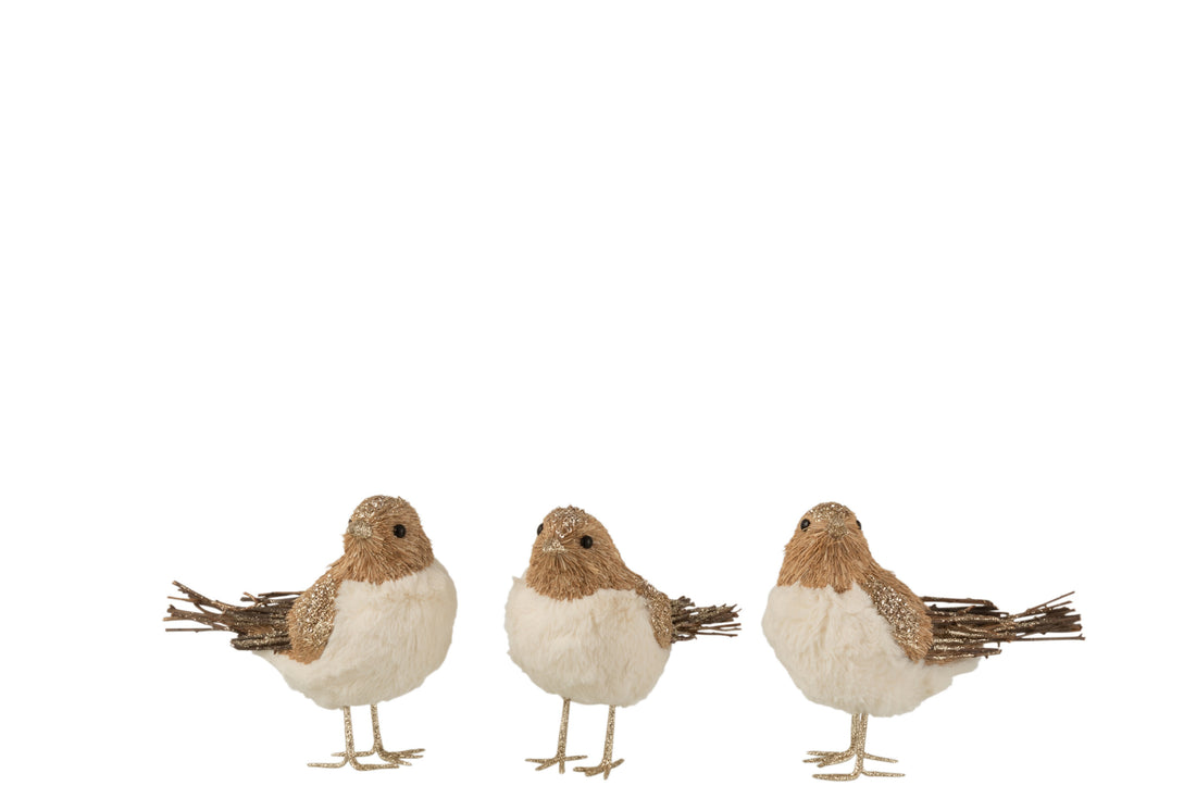 Vogel Staande Gedroogd Gras Natuurlijke Assortiment Van 3