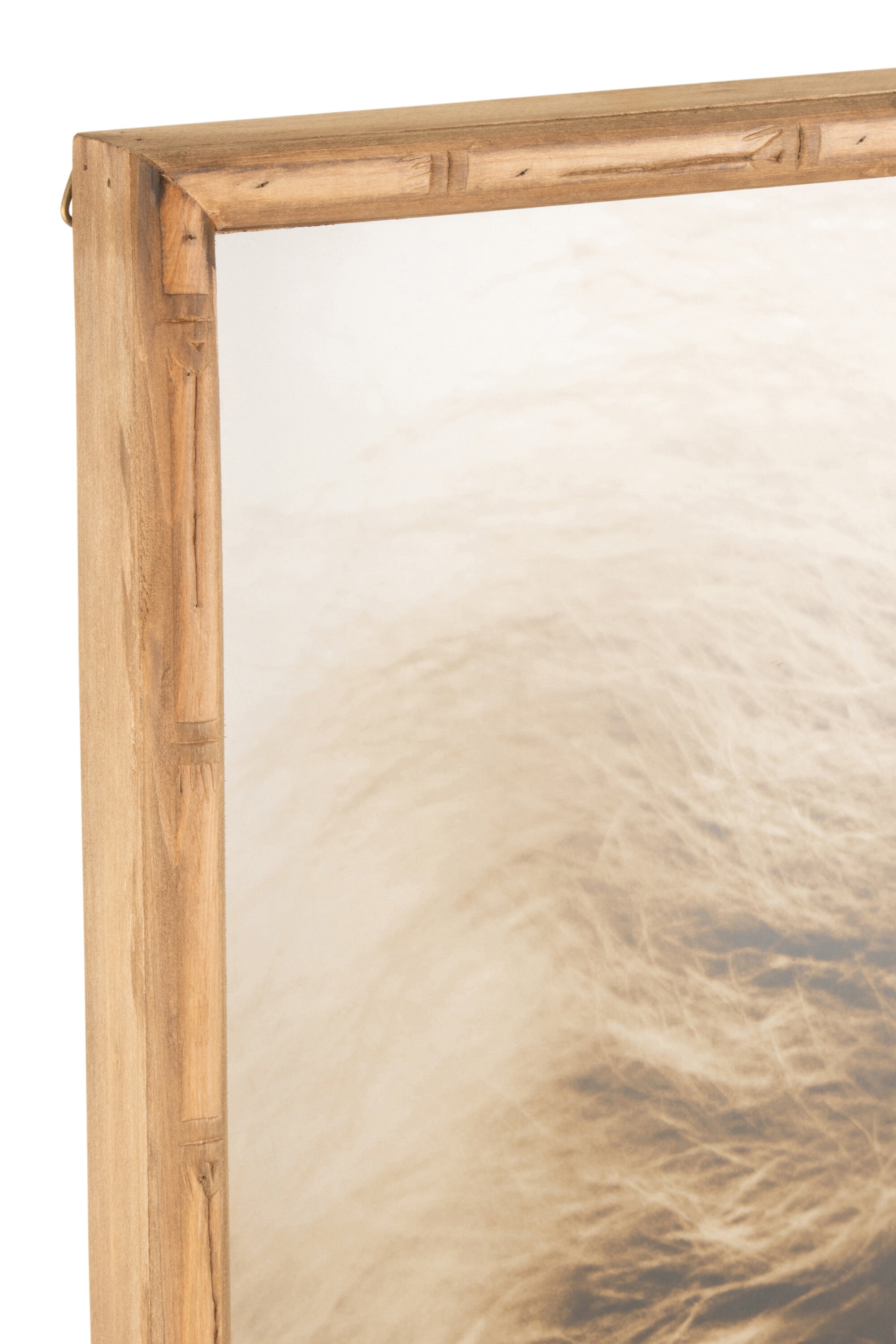 Wanddecoratie Leeuw Hout/Glas Bruin