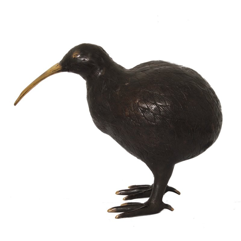H28 Kiwi Vogel M