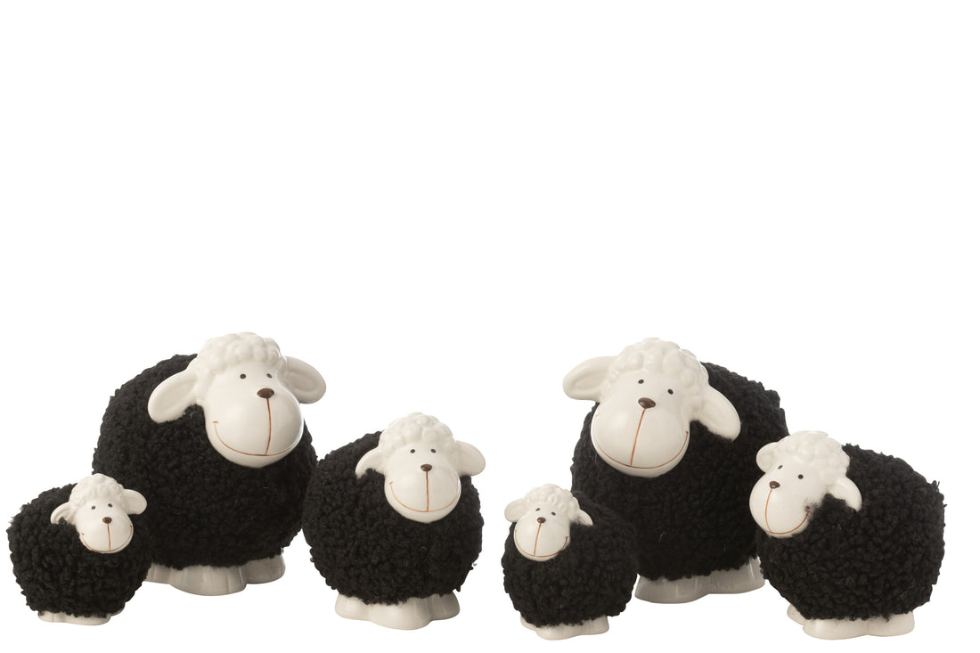 Vel Porselein Wit/Zwart Groot Assortiment Van 2