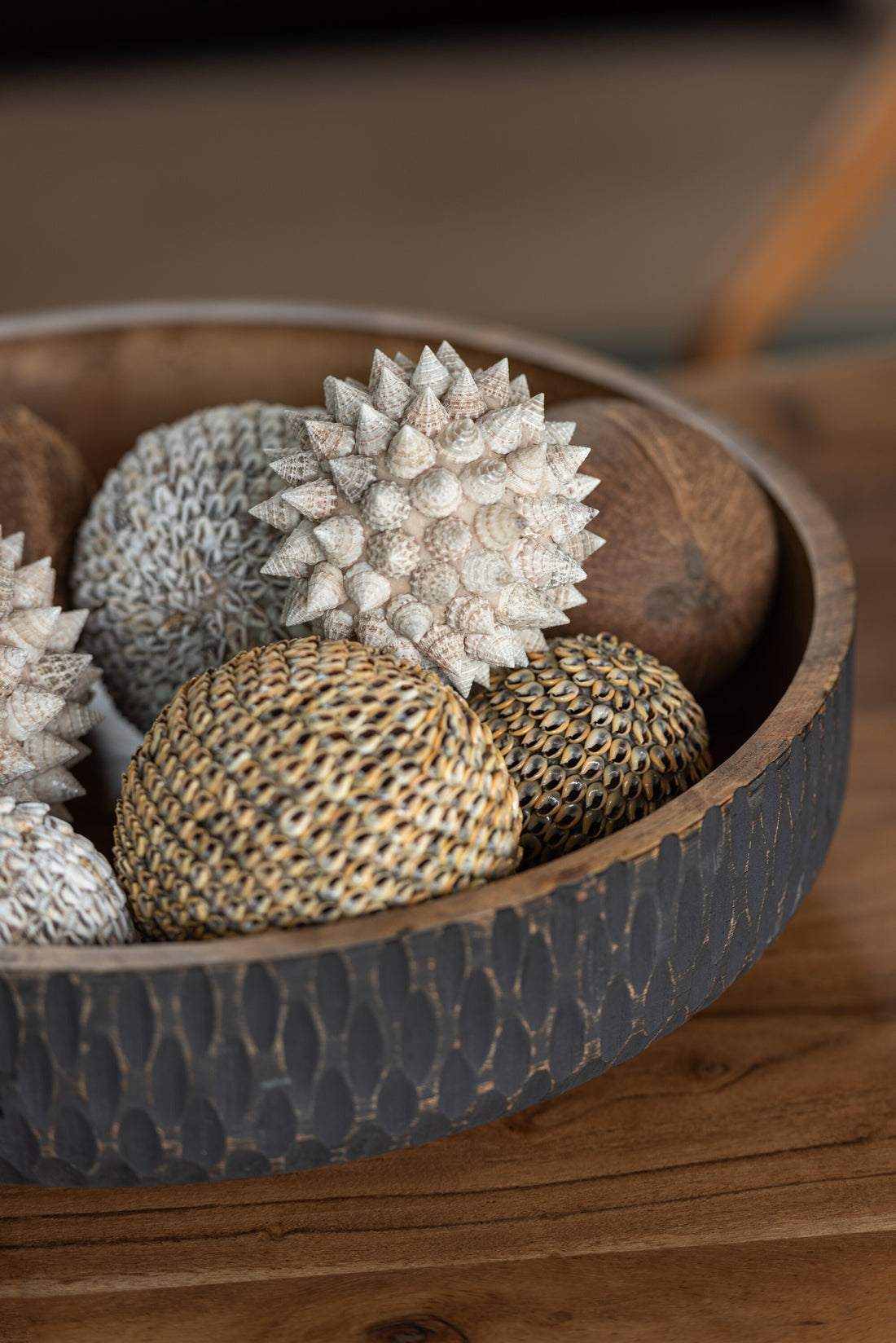 Bal Schelpen Bruin Klein