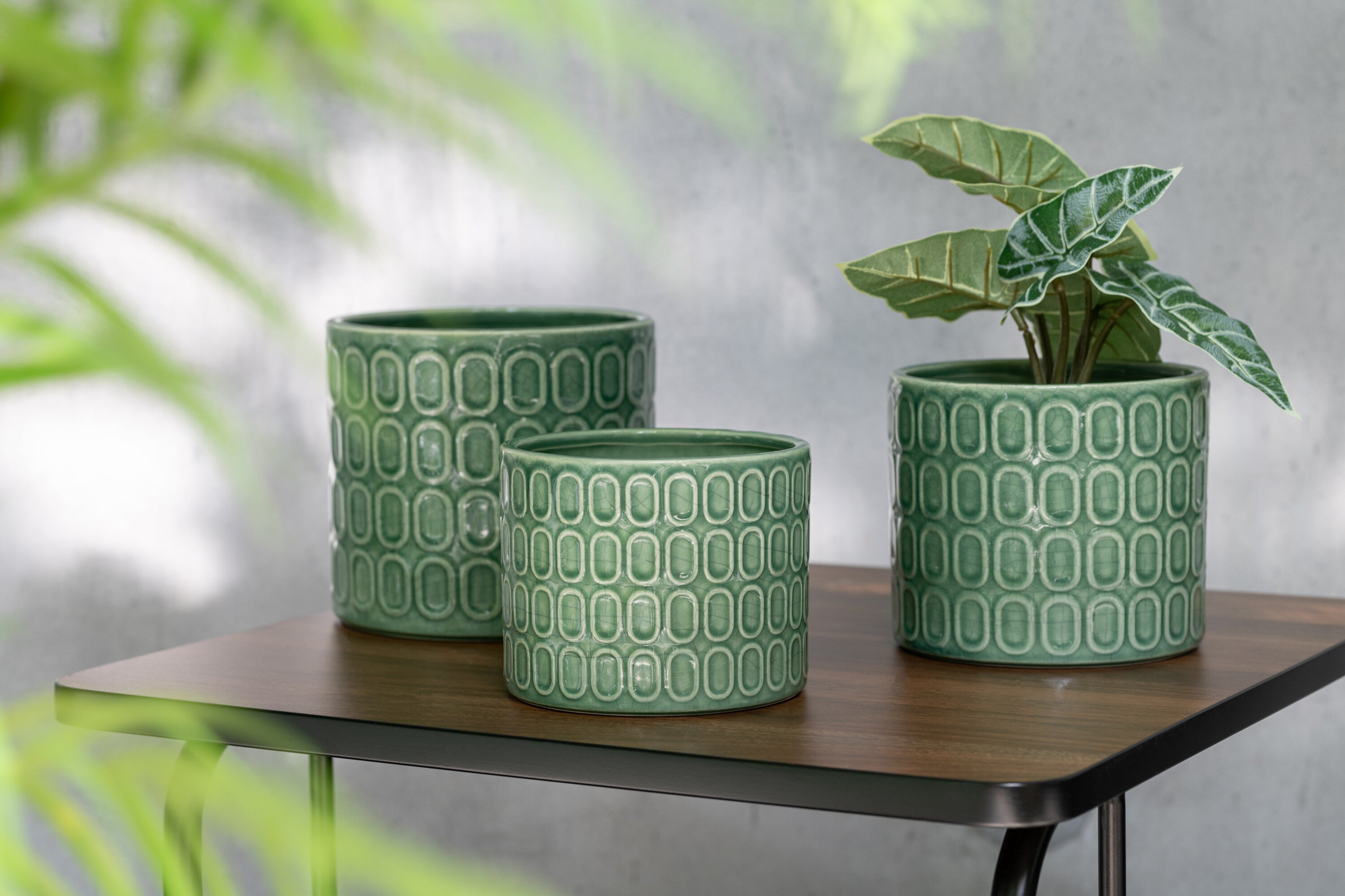 Anthurium/Reuzentaro in Pot Plastic Groen Assortiment van 2