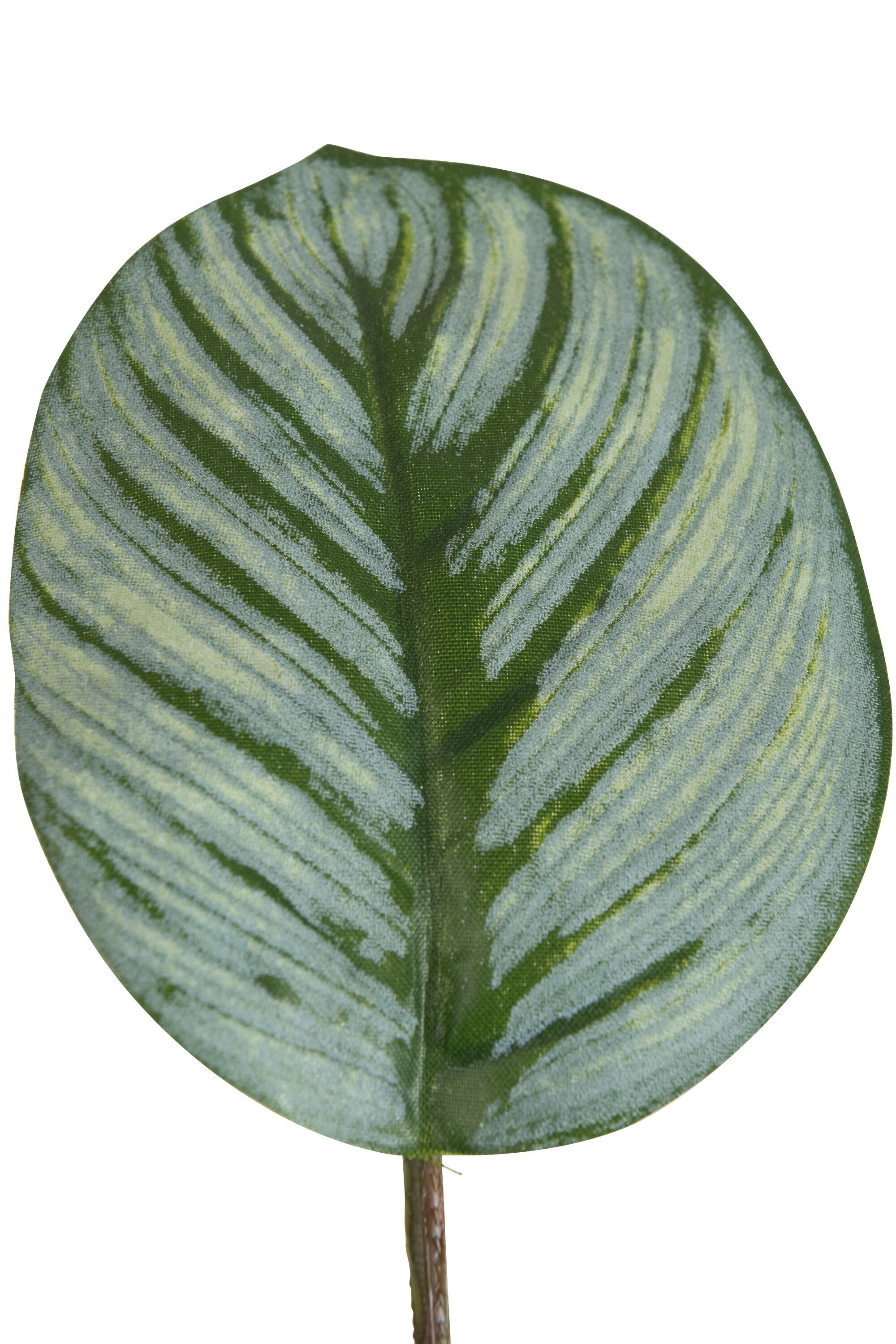 J-Line Calathea In Pot Plastiek Groen Mix