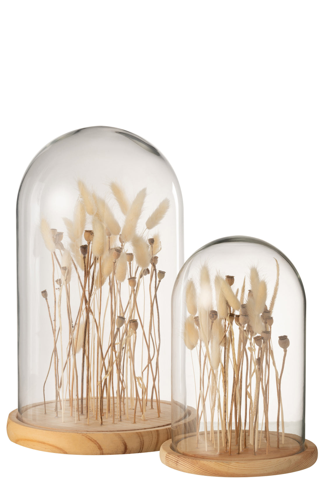 J-Line Stolp Droogbloemen Ecru/Bruin Glas Hout Groot