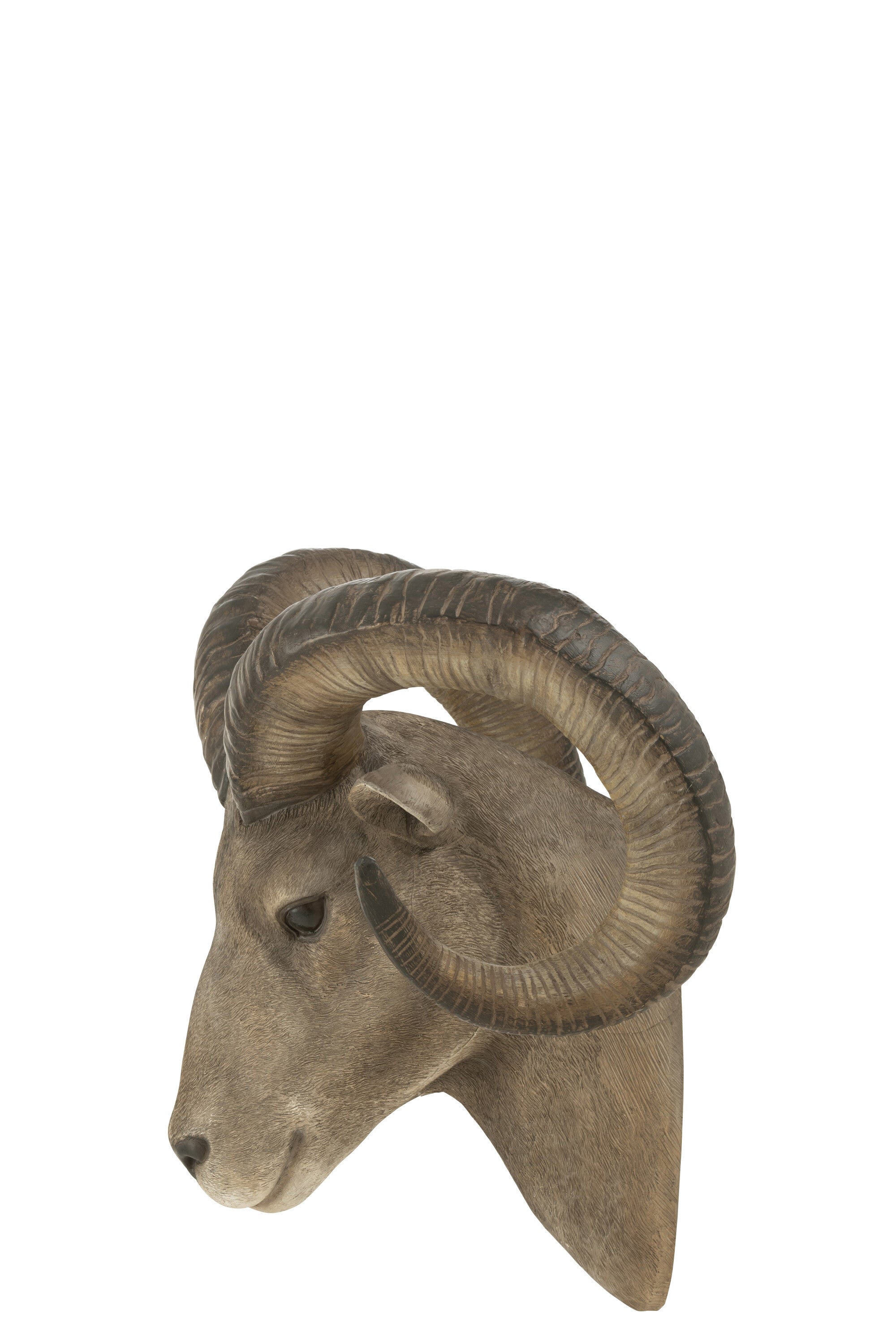 Geitenkop Poly Grijs