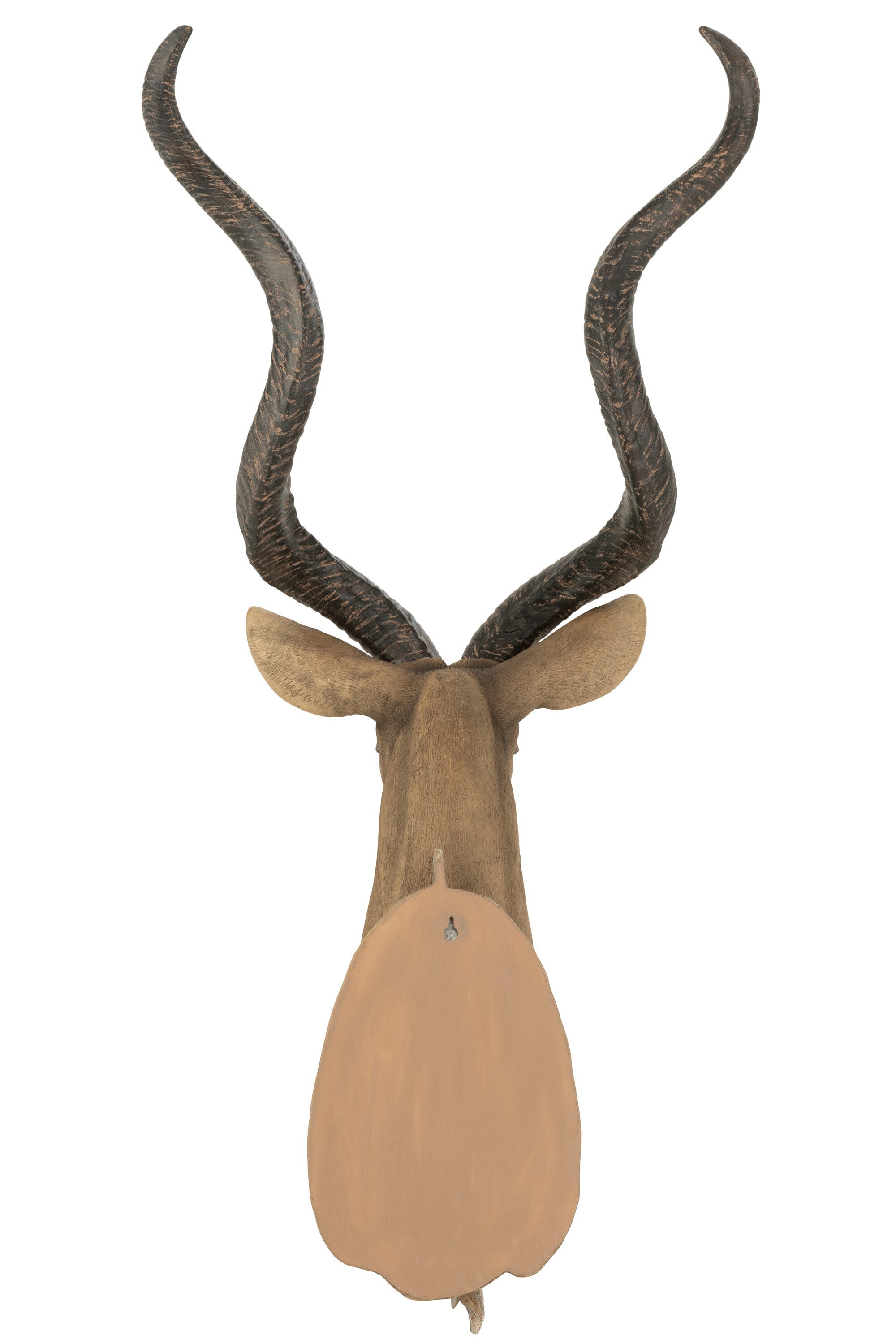 Antilopekop Poly Bruin