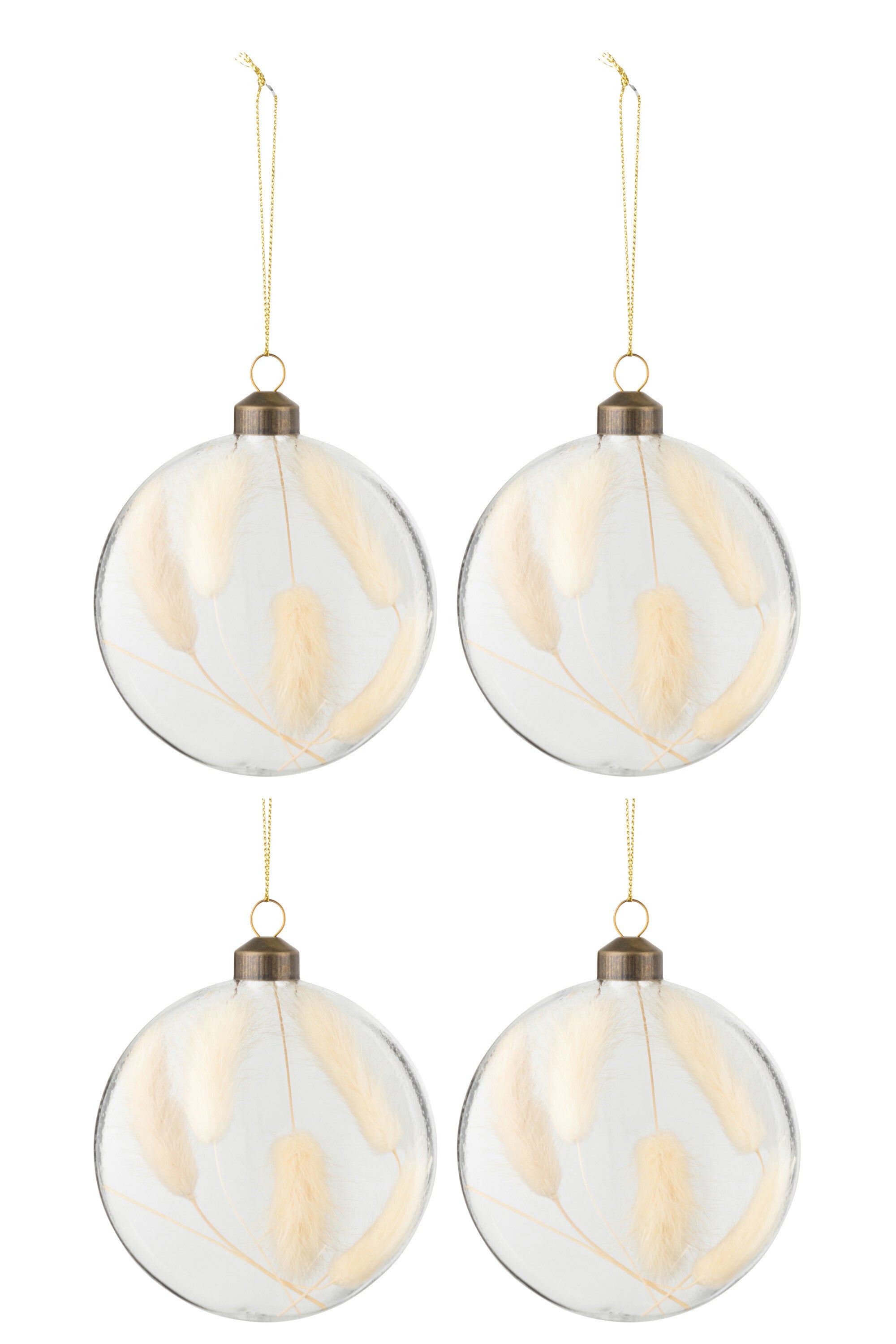 J-Line Box Of 4 Christmas Baubles Round Flat Dried Haretail Beige Transparent Medium