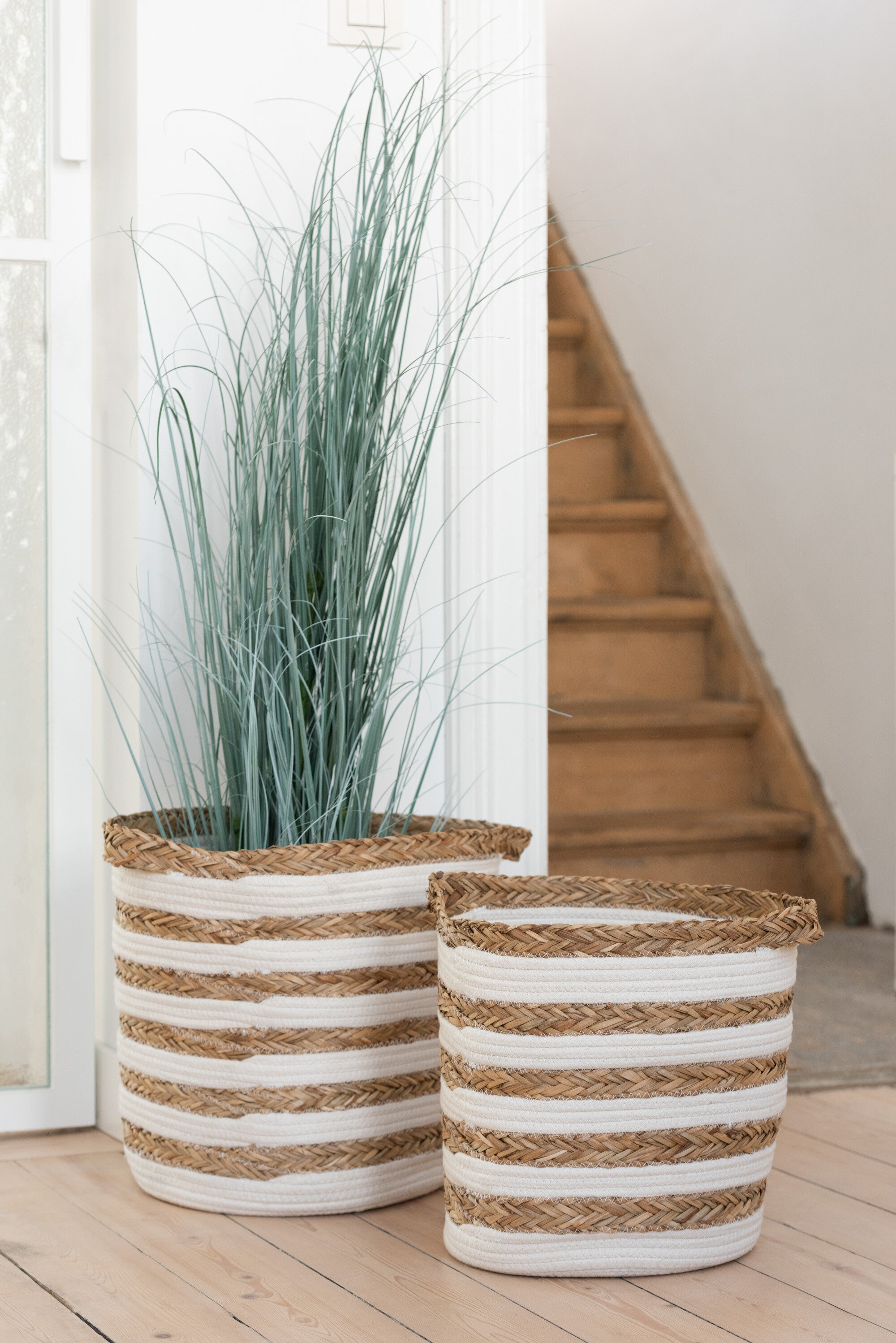 Grassen in pot plastic blauw/groen extra groot