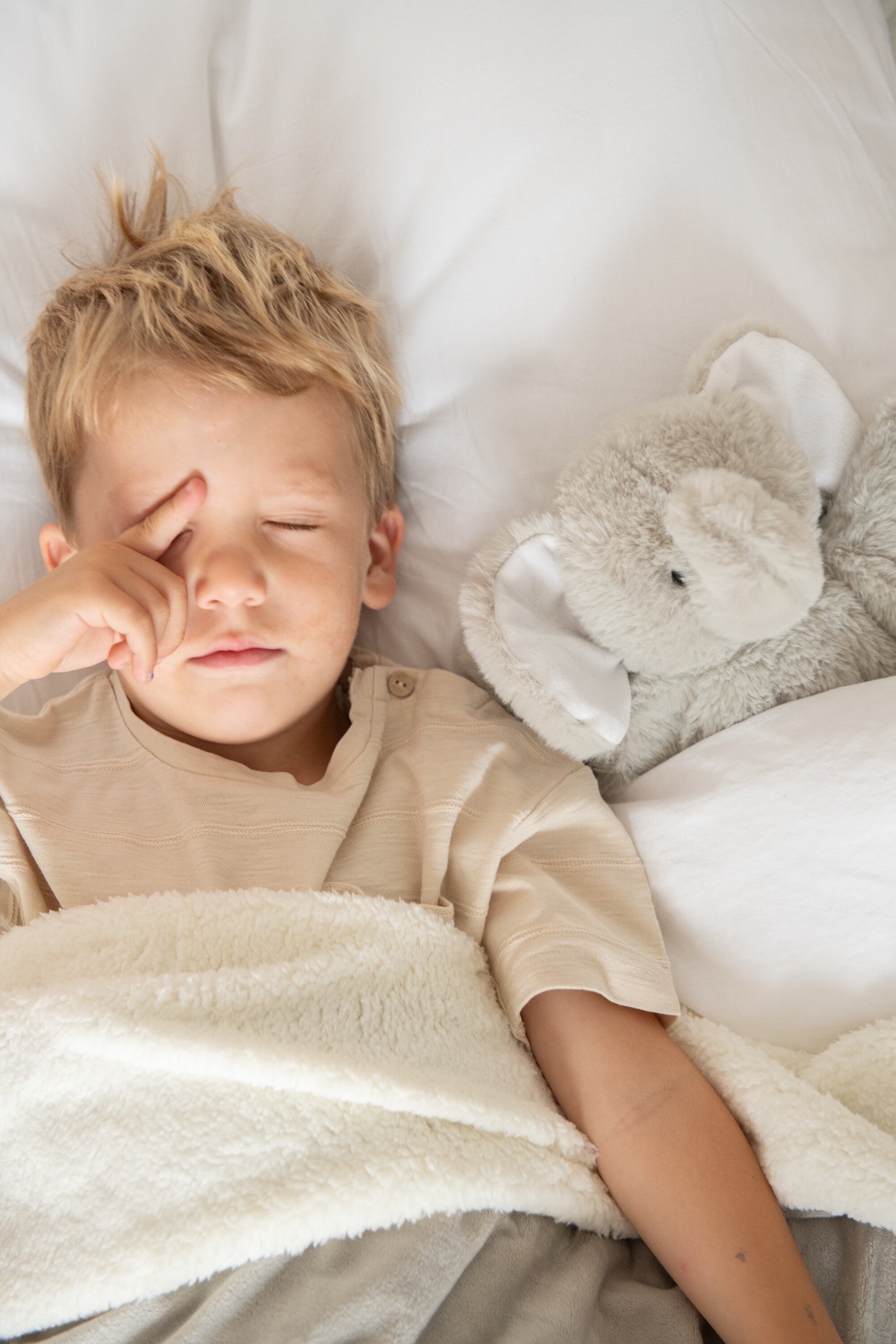 Olifant+Deken Pluche Grijs