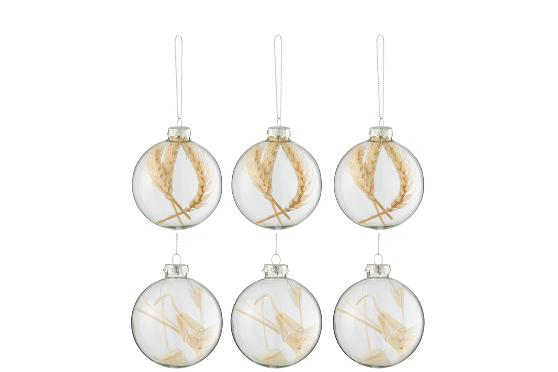J-Line Doos met 6 kerstballen 3+3 gedroogde takken Beige glas transparant klein
