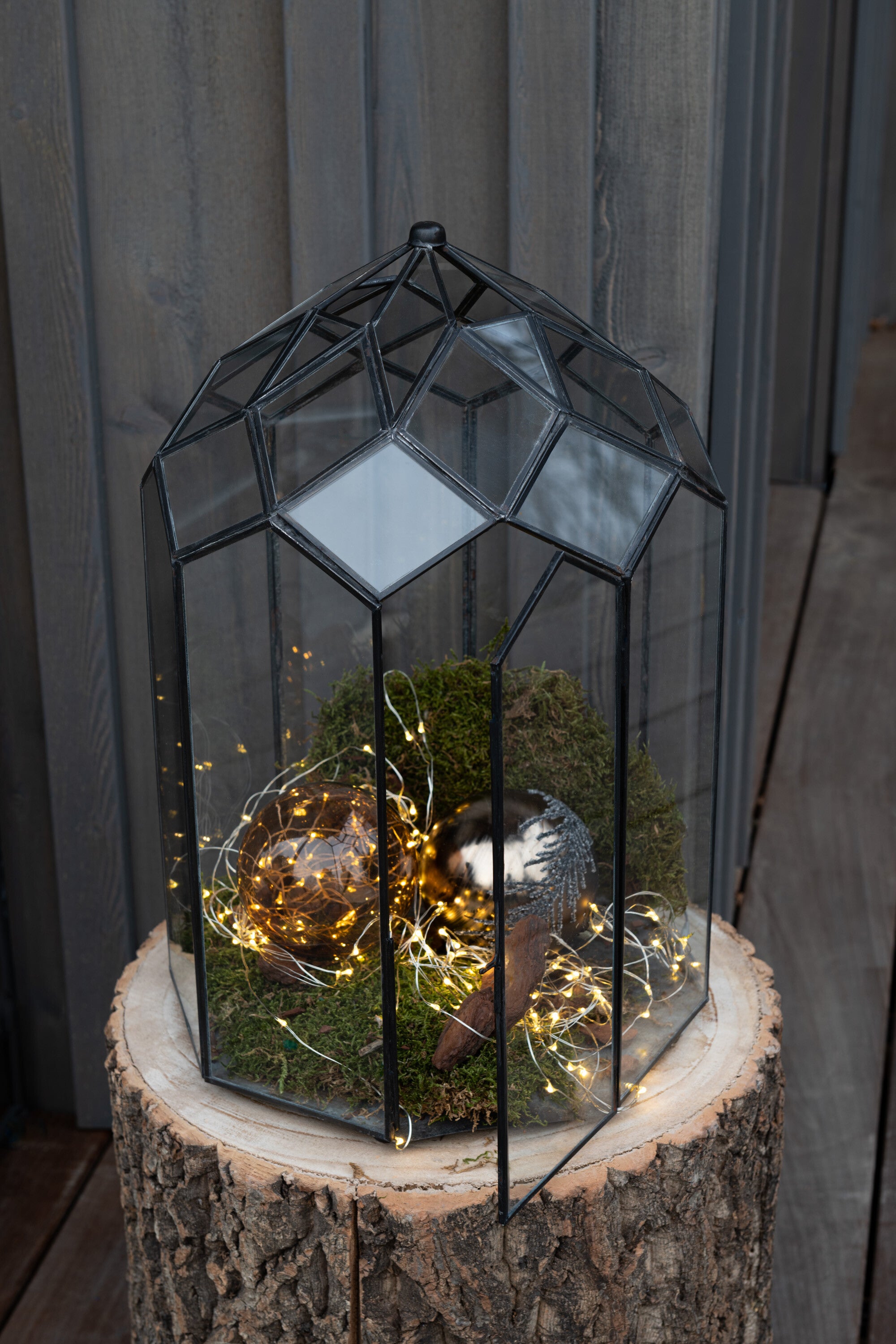 Terrarium Glas/Metaal Zwart Medium