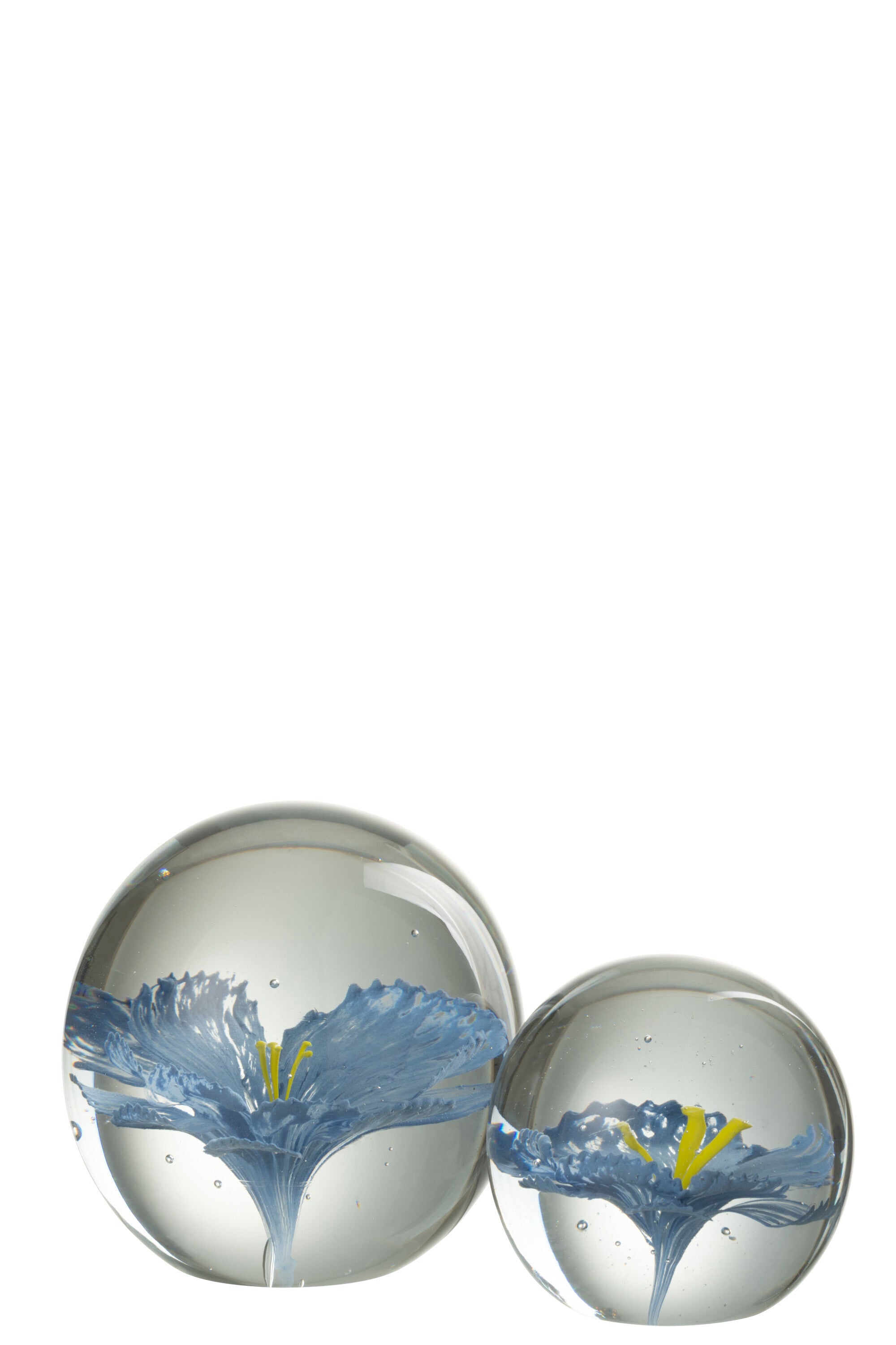 J-Line Presse Pap Bloem Glas Blauw Large