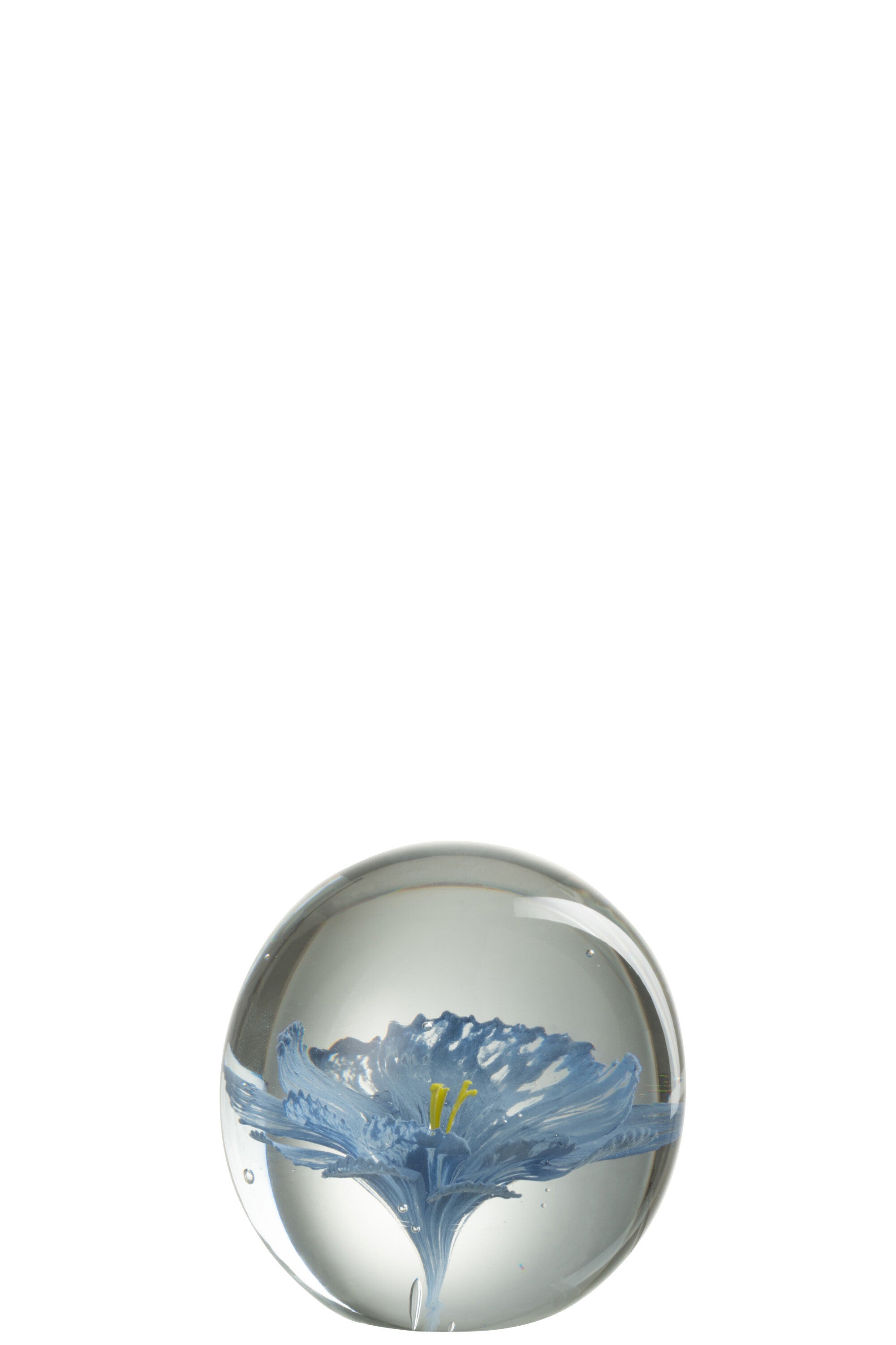 J-Line Presse Pap Bloem Glas Blauw Large