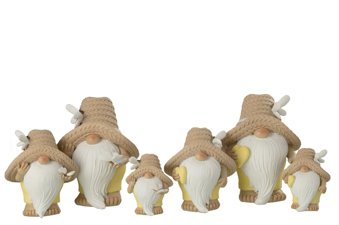 Gnoom Hart Vlinder Poly Mix Groot Assortiment Van 2