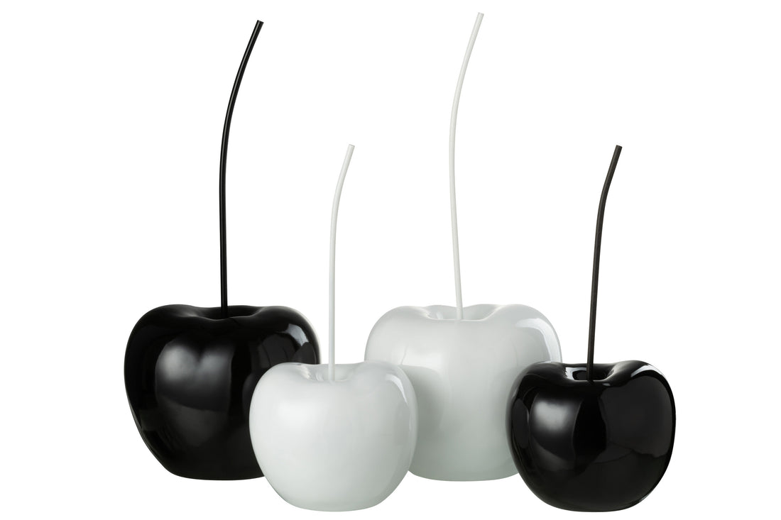 Kersenhars Glanzend Wit/Zwart Groot Assortiment Van 2