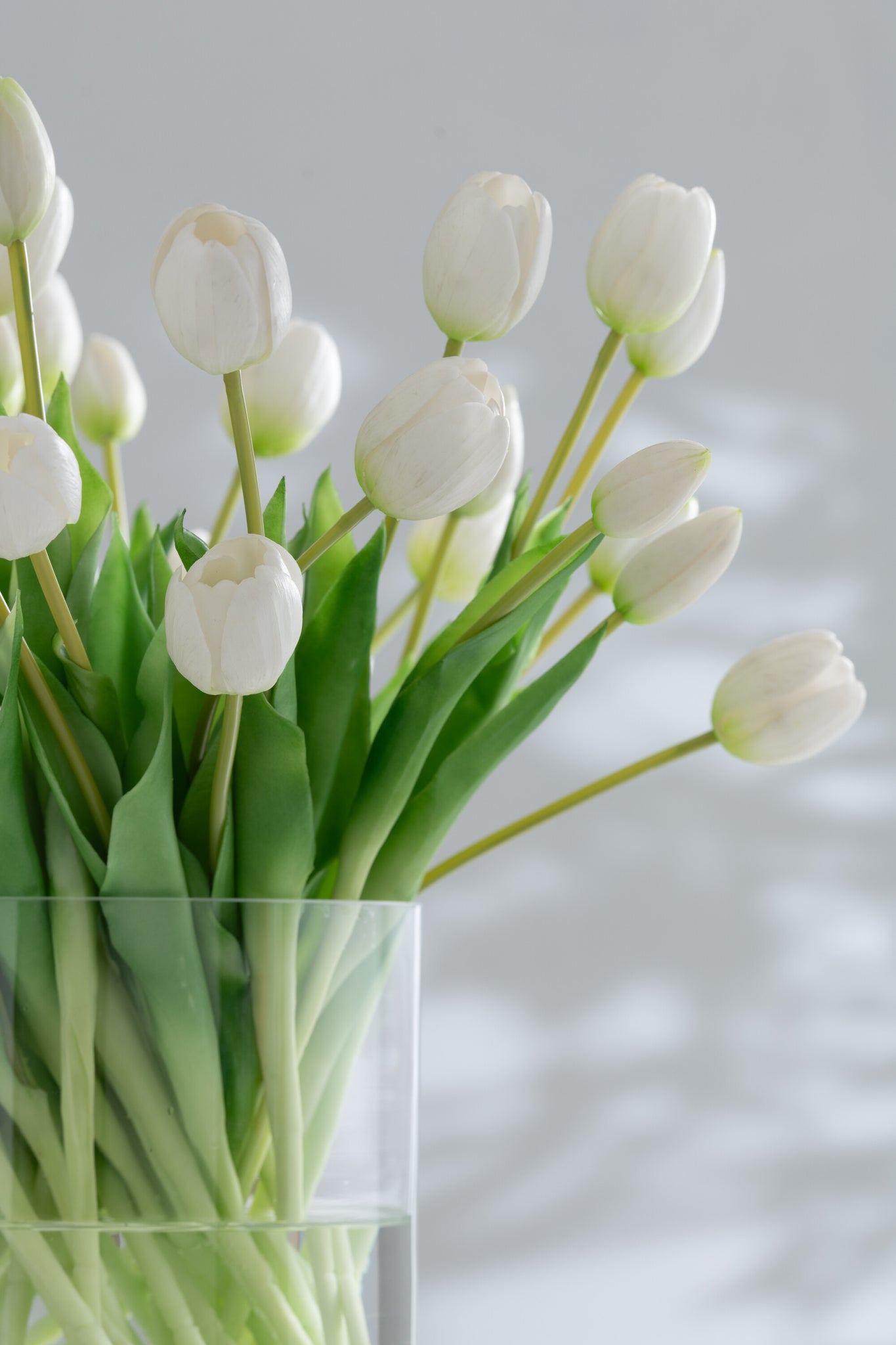 J-Line Boeket Tulpen 7Stuks Pu Wit Small