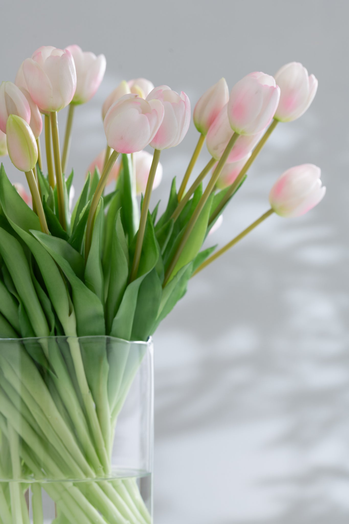 J-Line Boeket Tulpen 7Stuks Pu Licht Roze Large