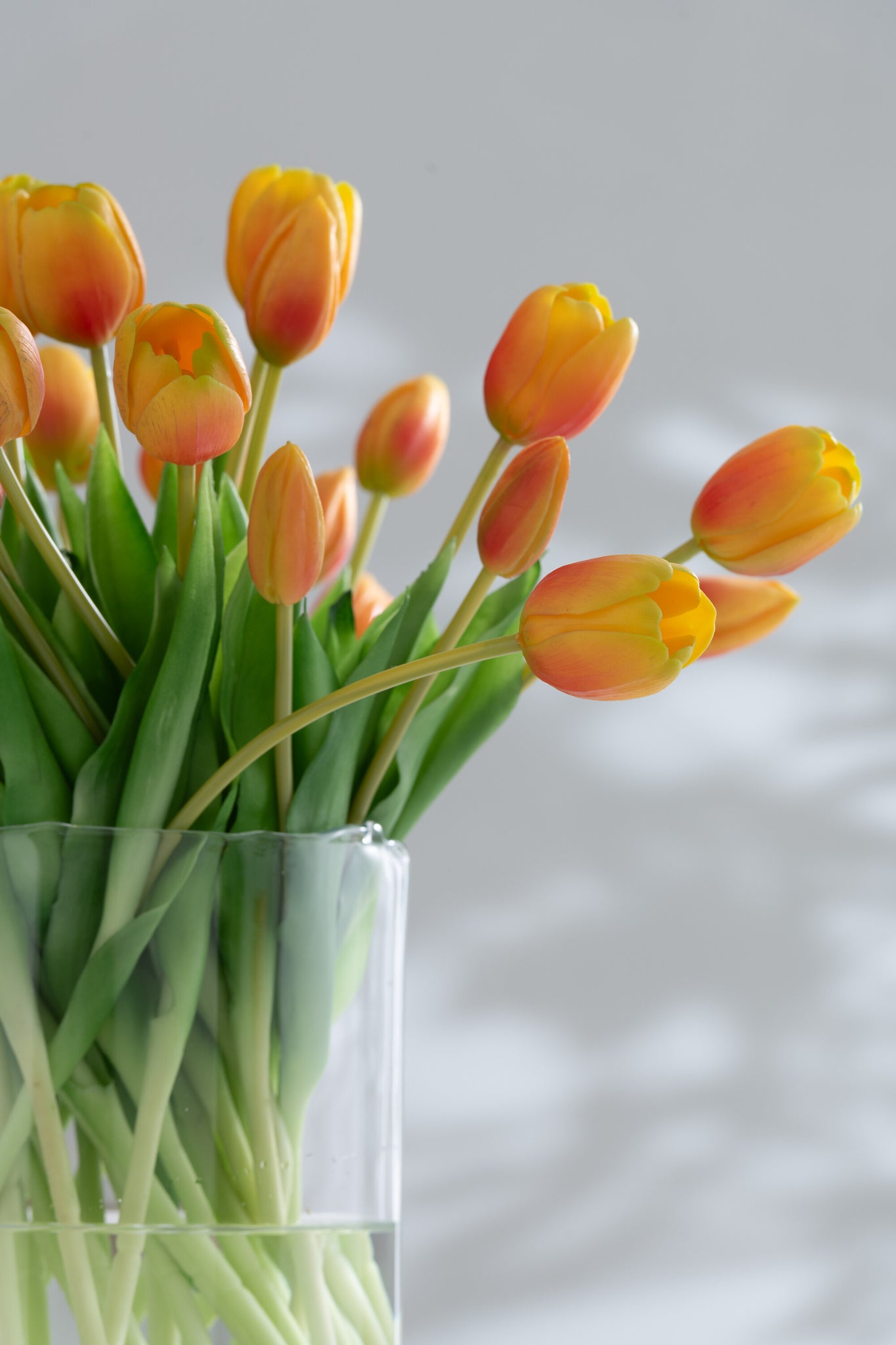 J-Line Boeket Tulpen 7Stuks Pu Oranje Large