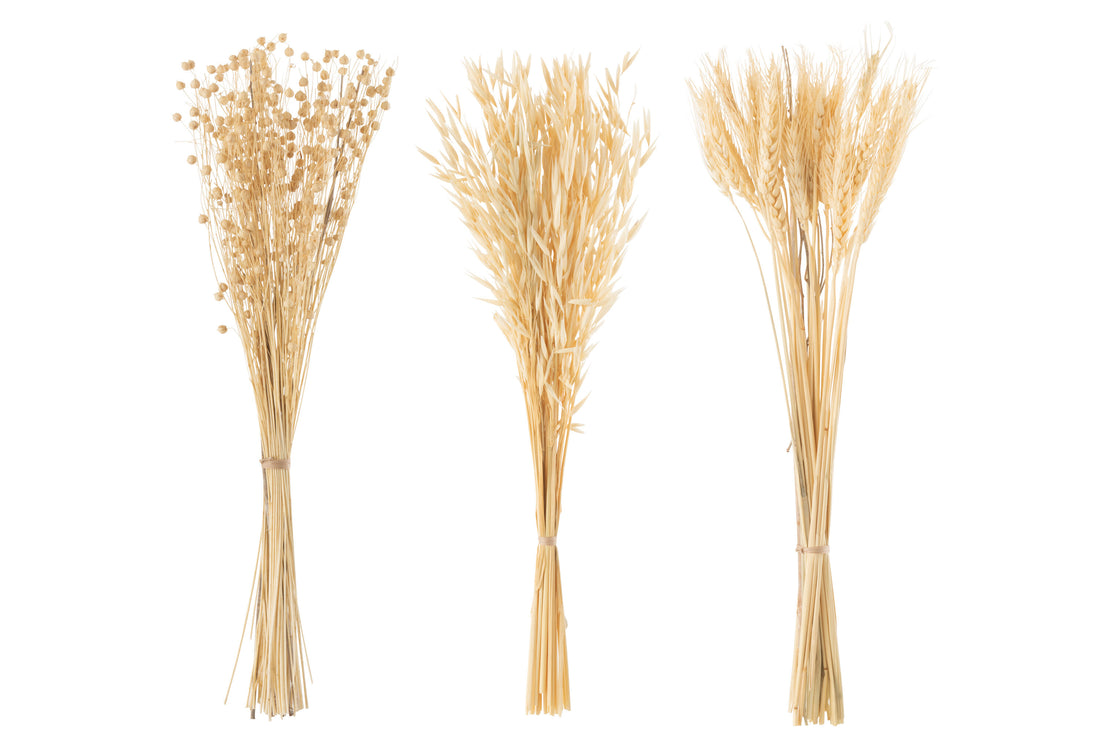 Bos Gedroogde Bloemen Natuurlijke Assortiment Van 3