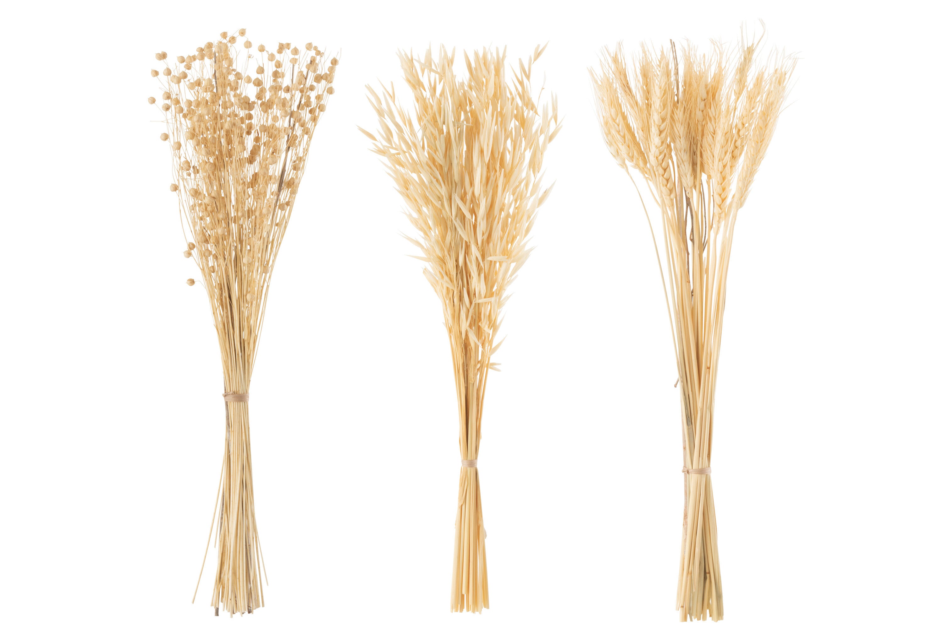 Bos Gedroogde Bloemen Natuurlijke Assortiment Van 3