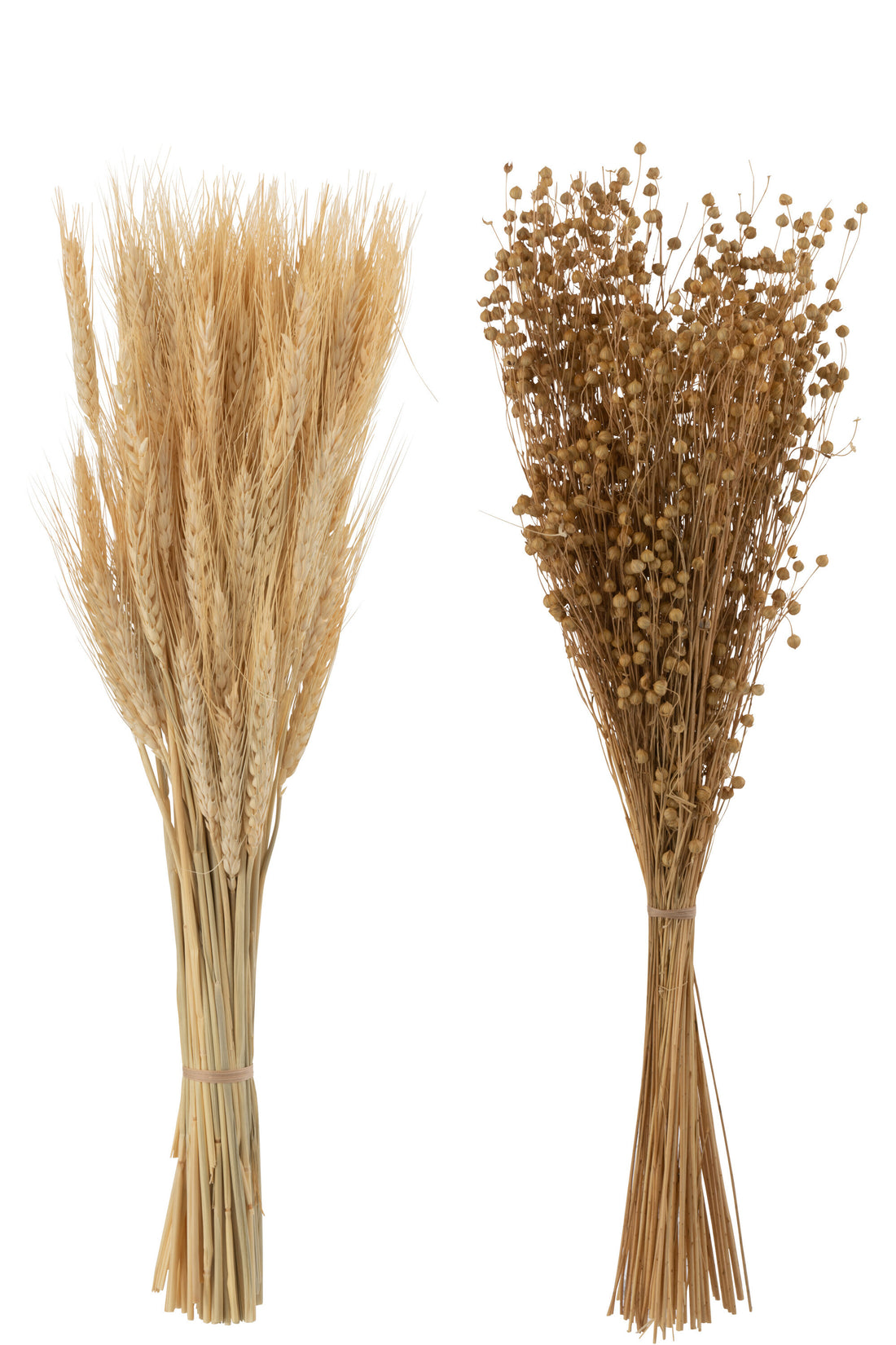 Bos Gedroogde Tishi+Tarwegras Natuurlijke Assortiment Van 2